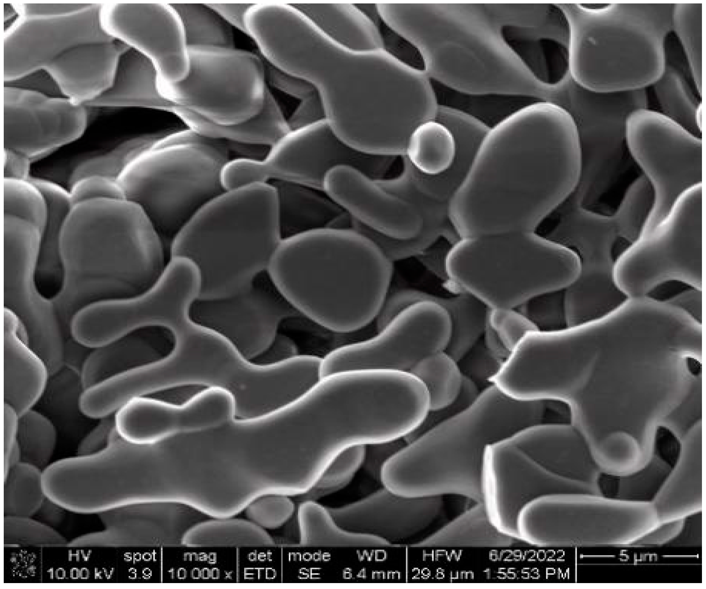 Materials 16 01128 g003