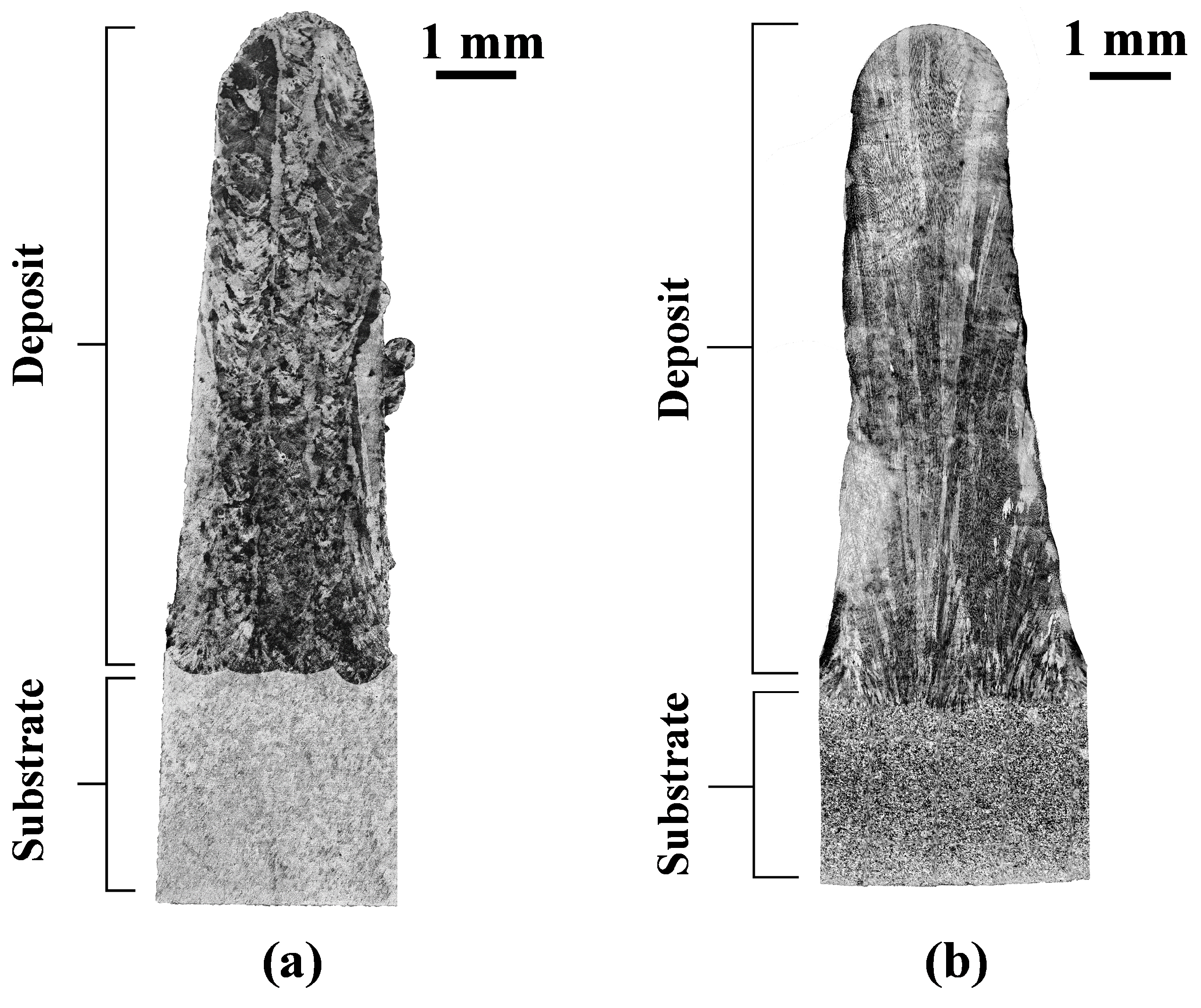 Materials 16 01129 g006 Materials 16 01129 g006