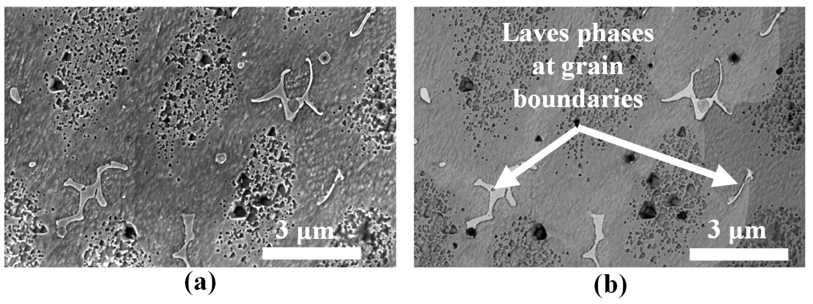 Materials 16 01129 g010 Materials 16 01129 g010