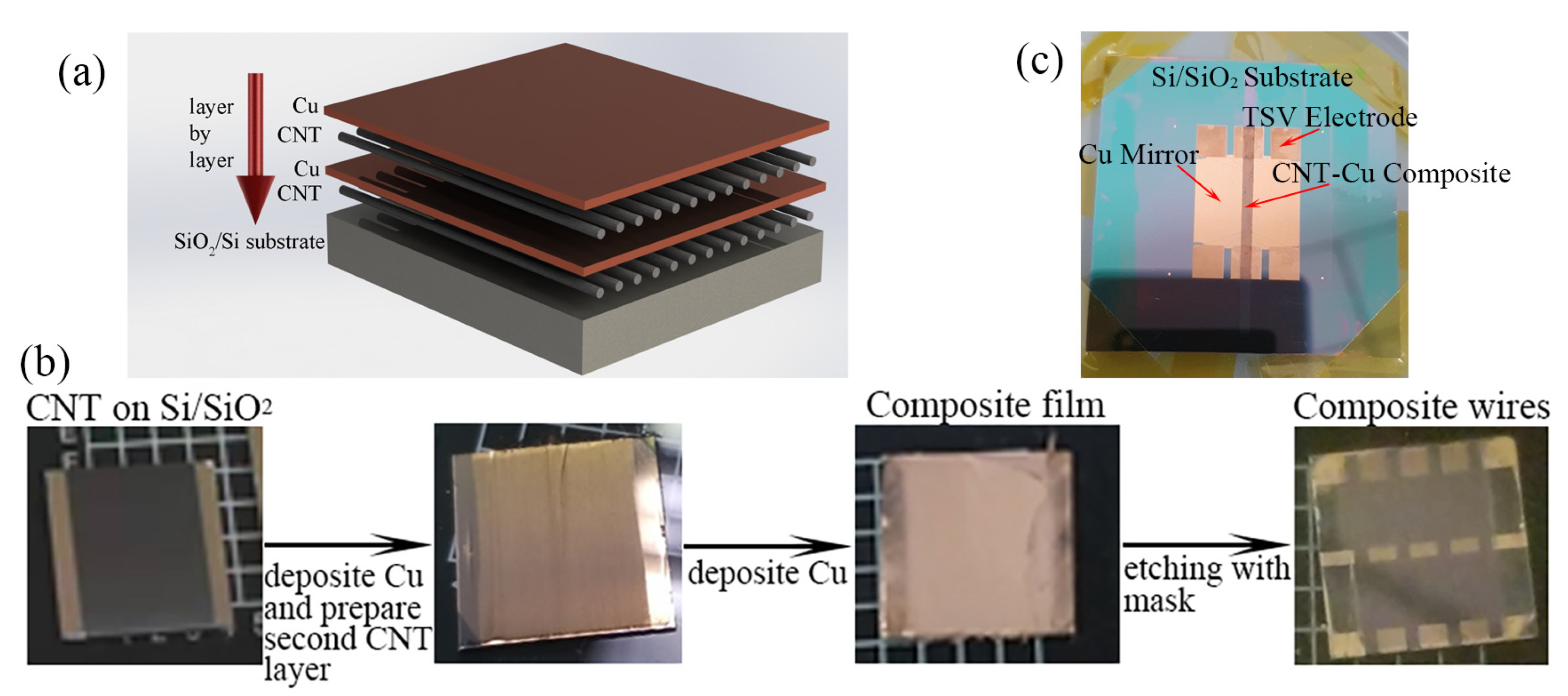 Materials 16 01131 g001