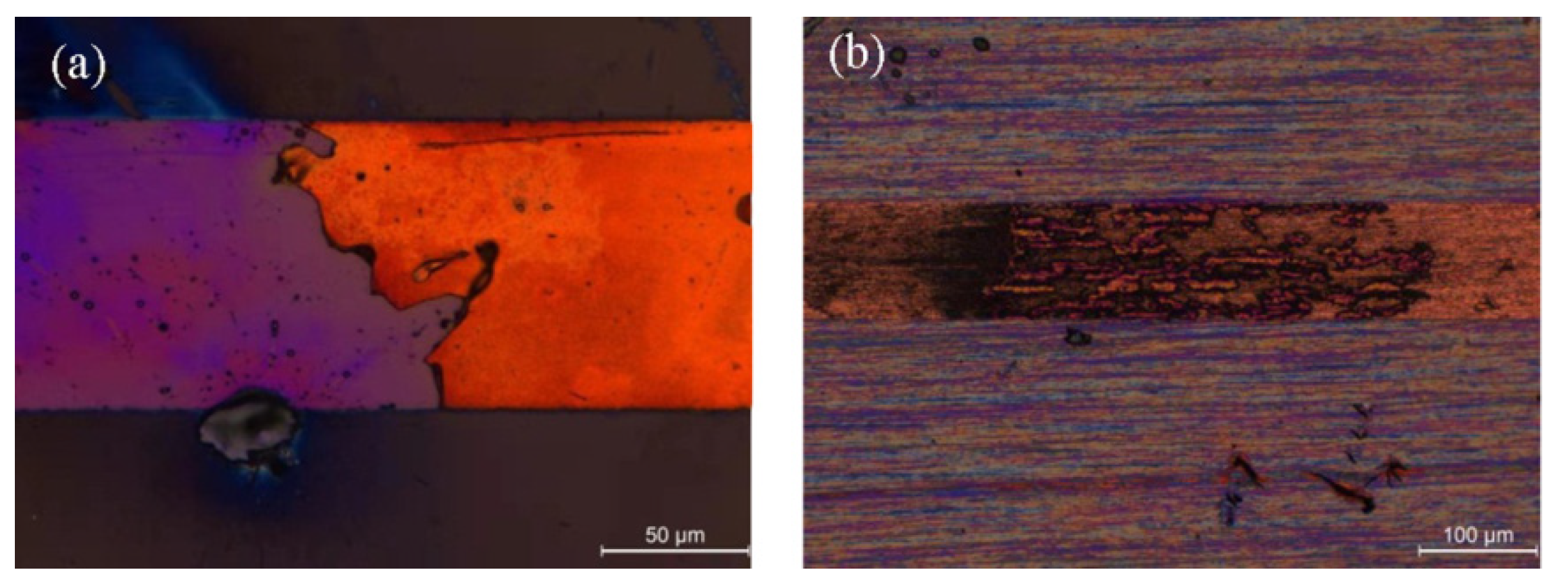 Materials 16 01131 g006