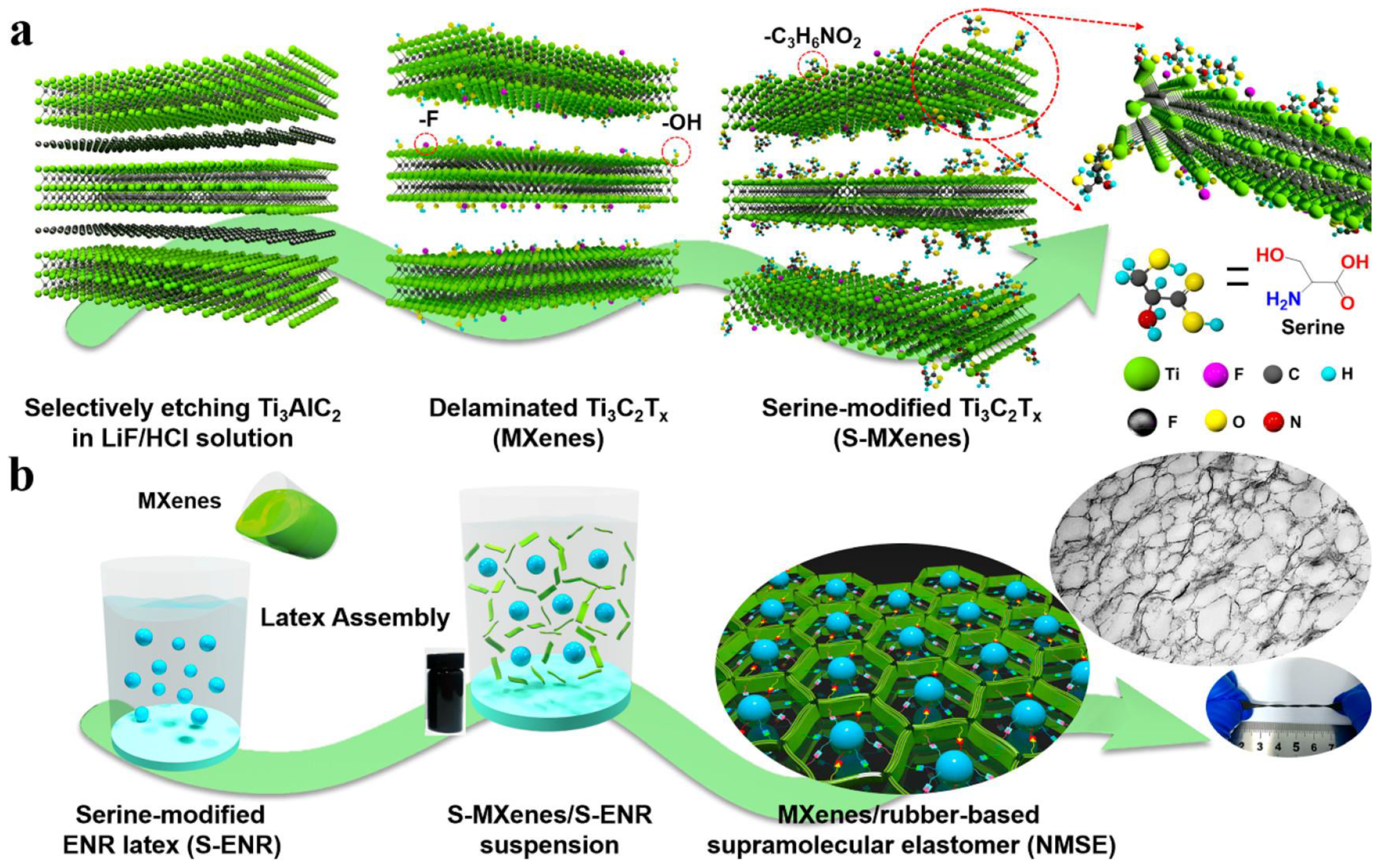 Materials 16 01138 g011 Materials 16 01138 g011
