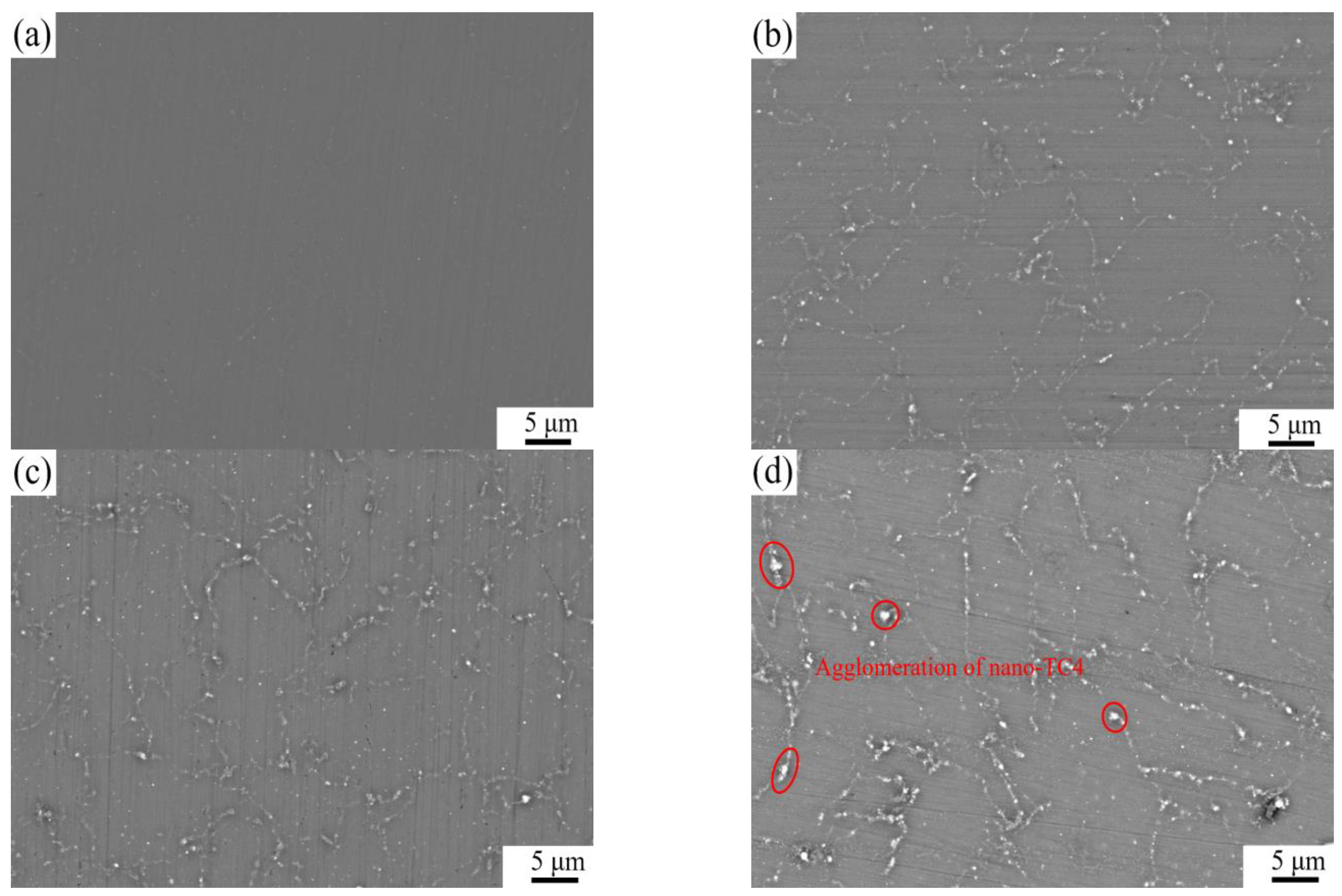 Materials 16 01139 g007 Materials 16 01139 g007