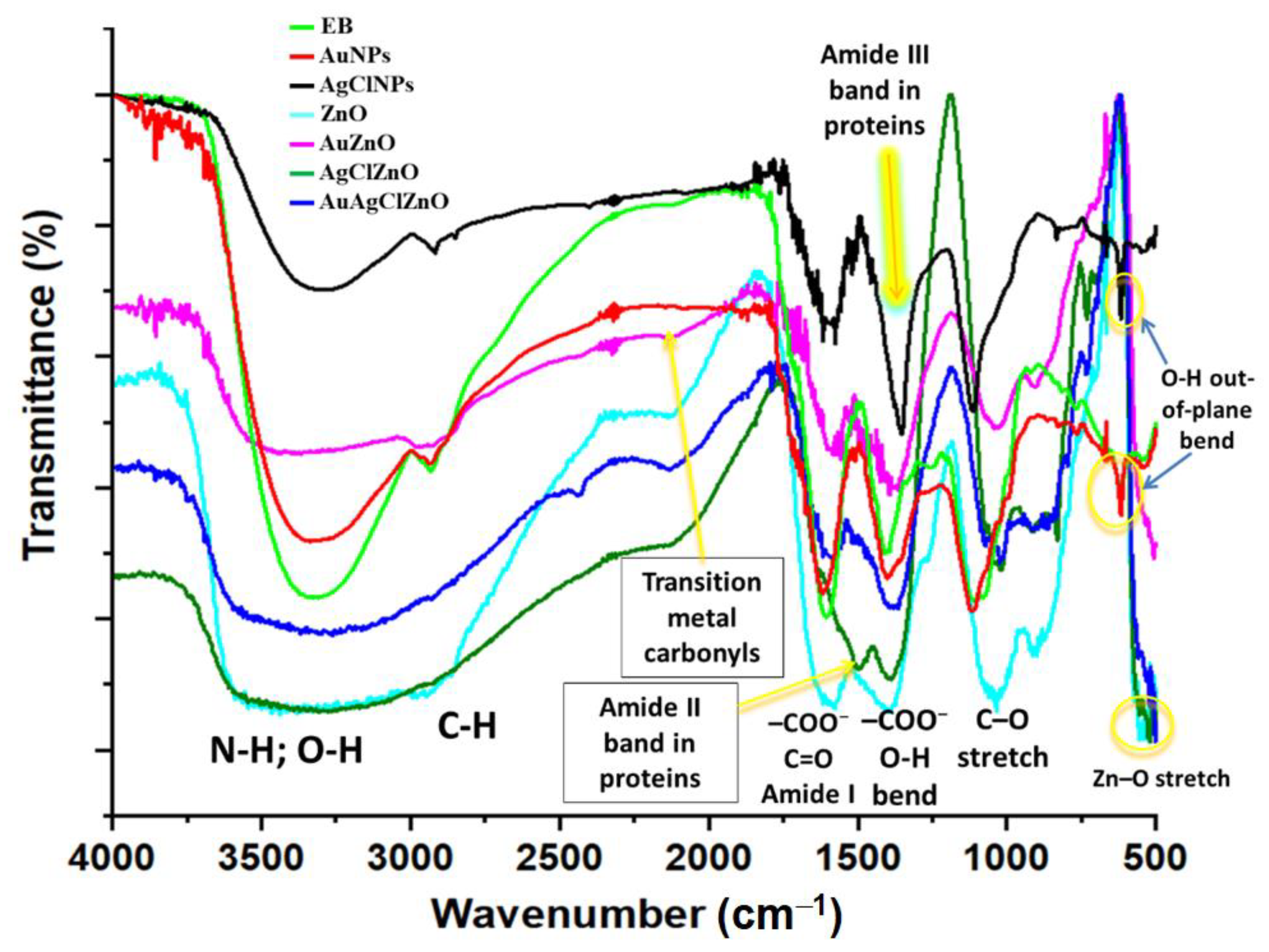Materials 16 01153 g002