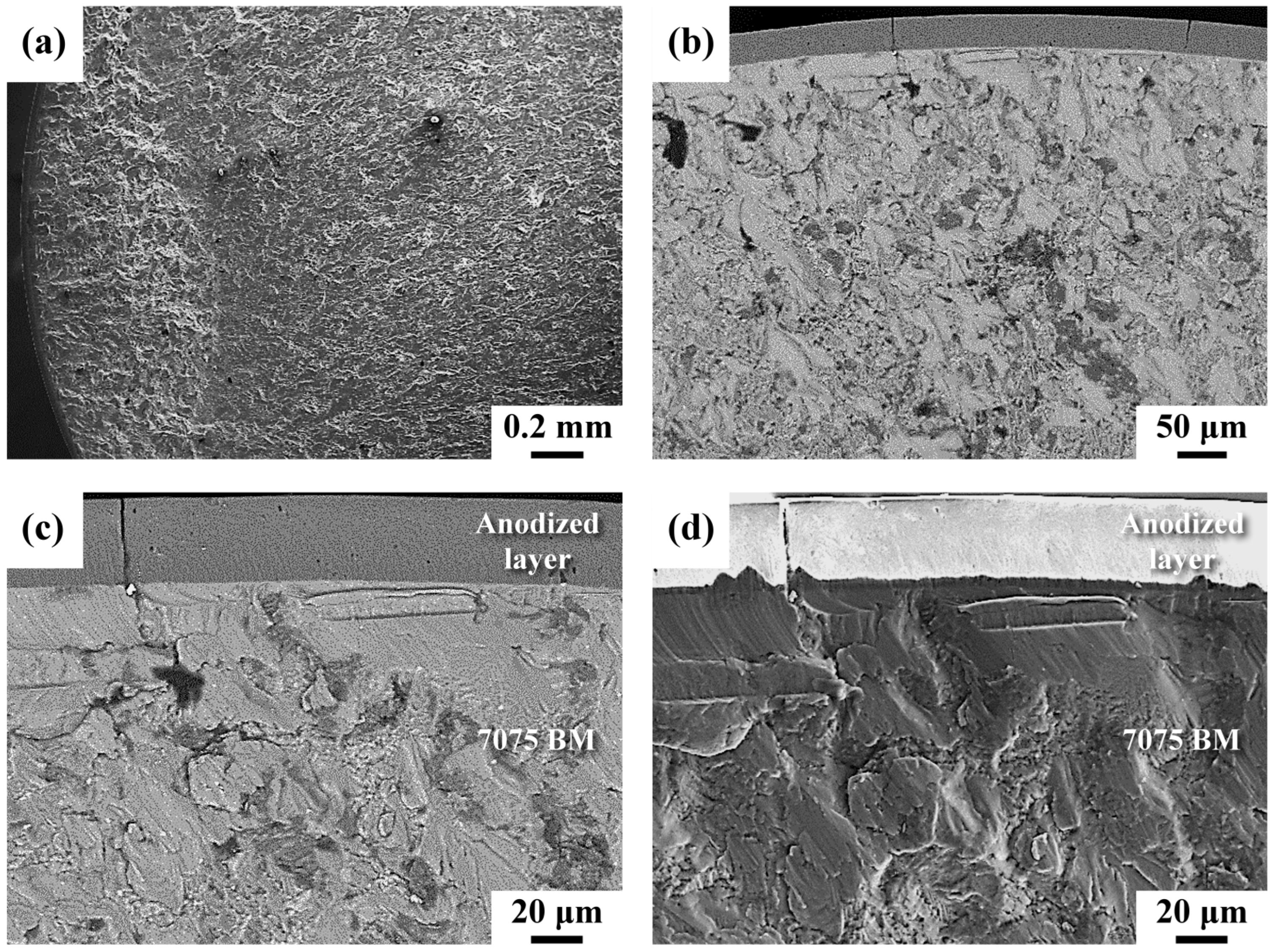 Materials 16 01160 g007