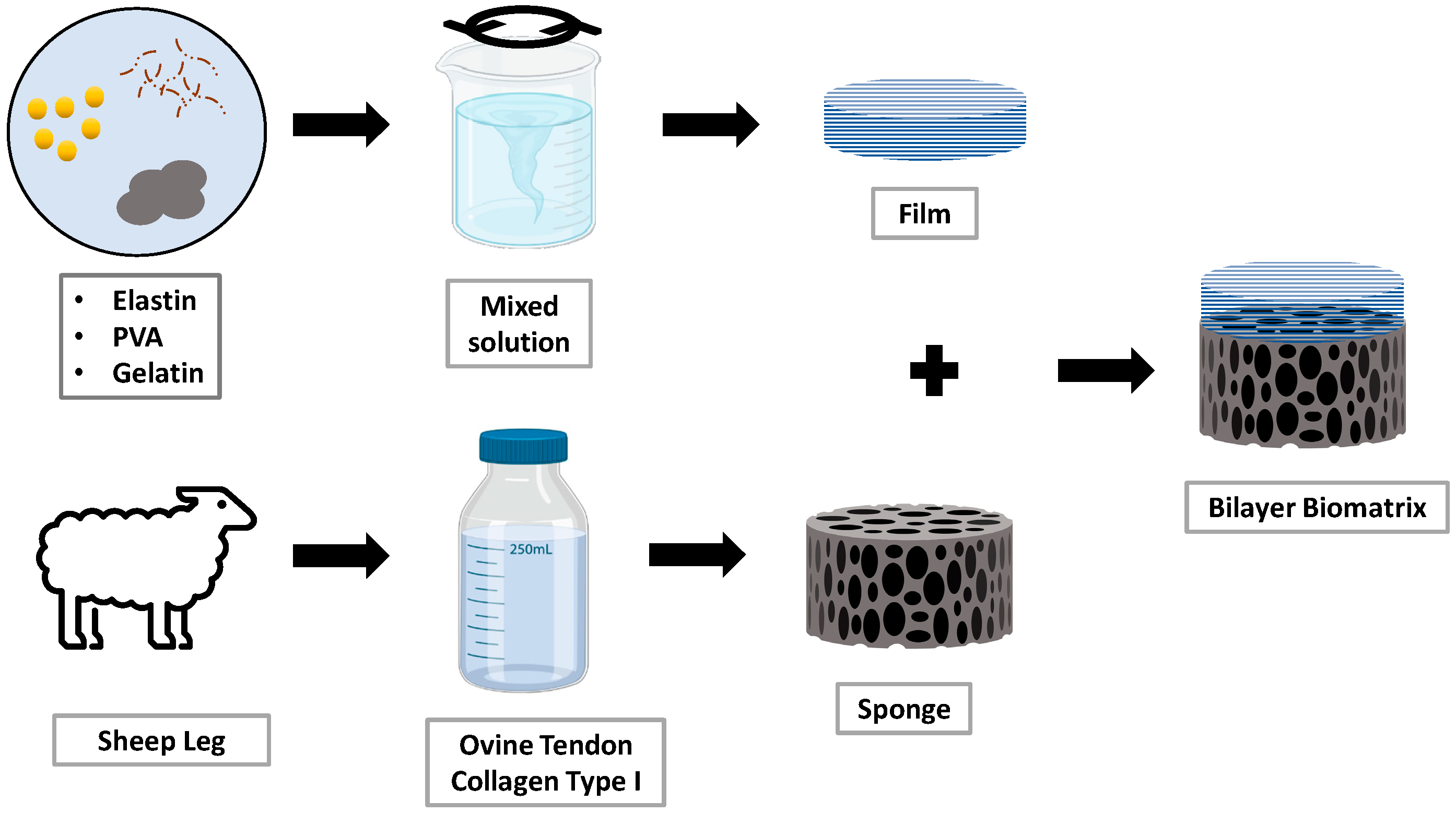 Materials 16 01162 g002 Materials 16 01162 g002