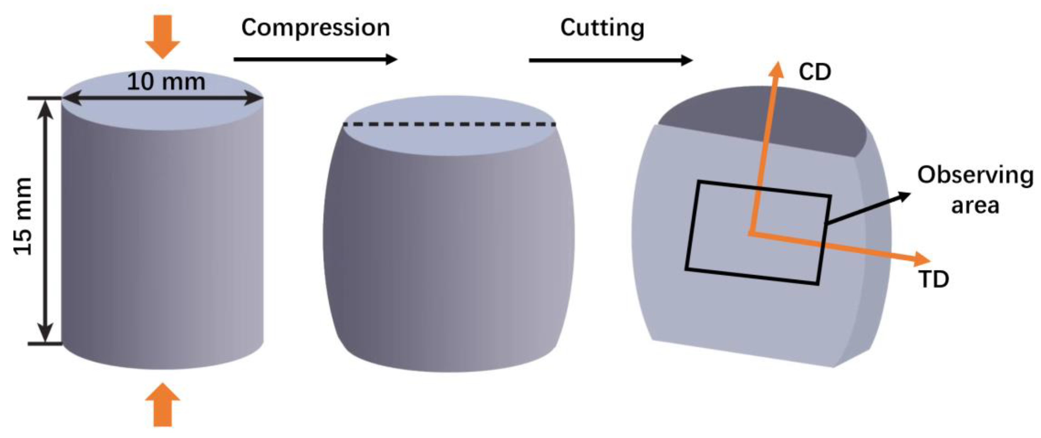 ZERO KAKU（TEORI） Twinning Behavior, Microstructure Evolution and Mechanical