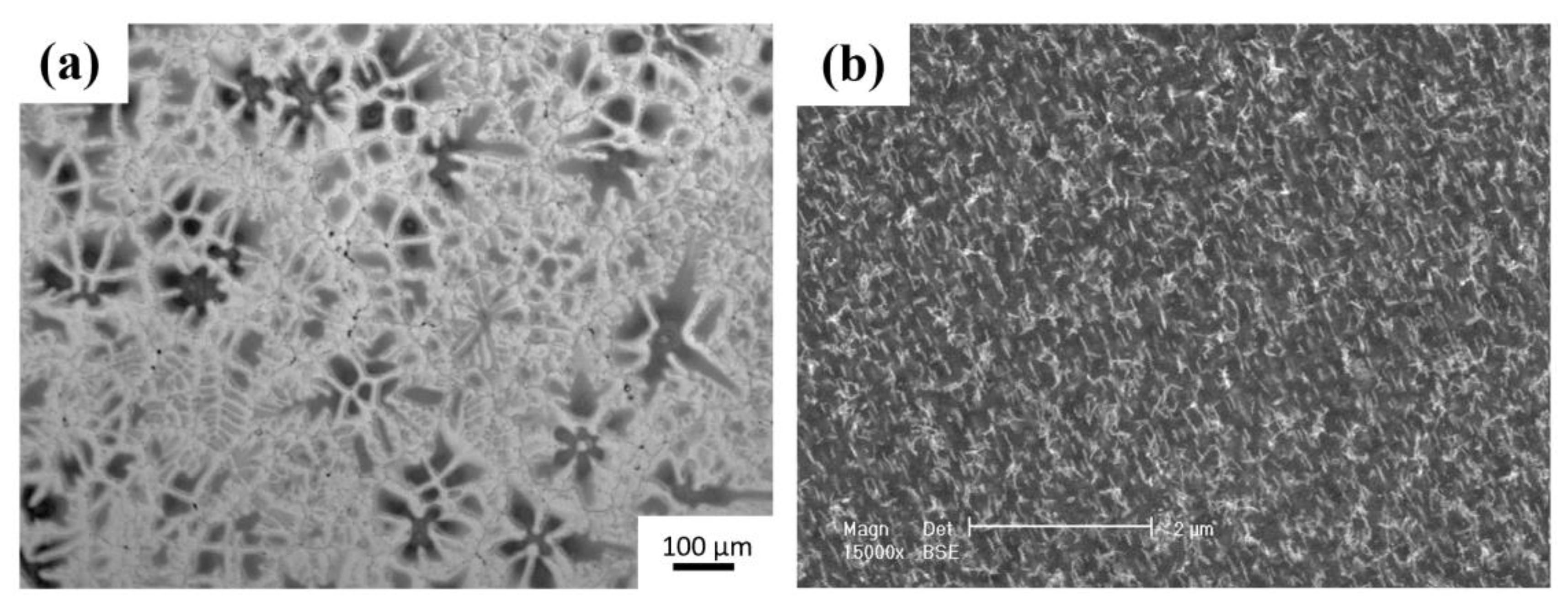 Materials 16 01163 g003 Materials 16 01163 g003