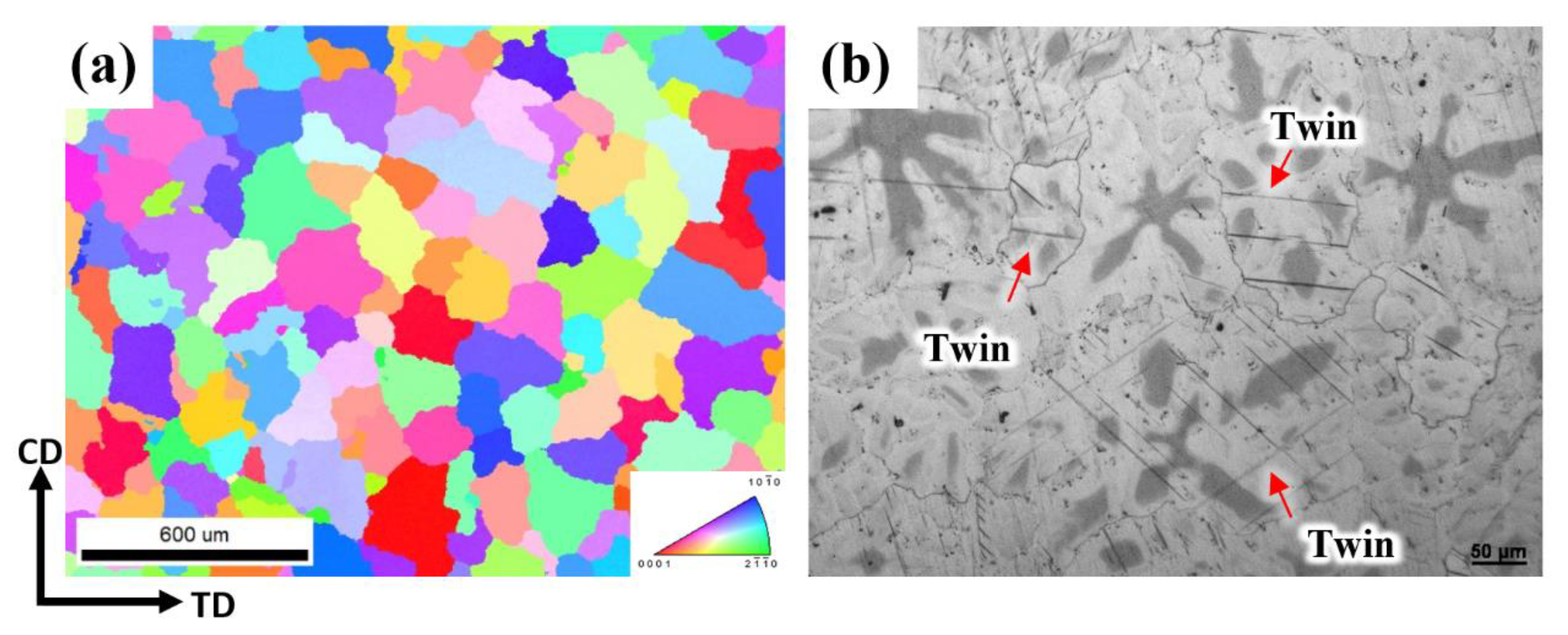 Materials 16 01163 g008 Materials 16 01163 g008
