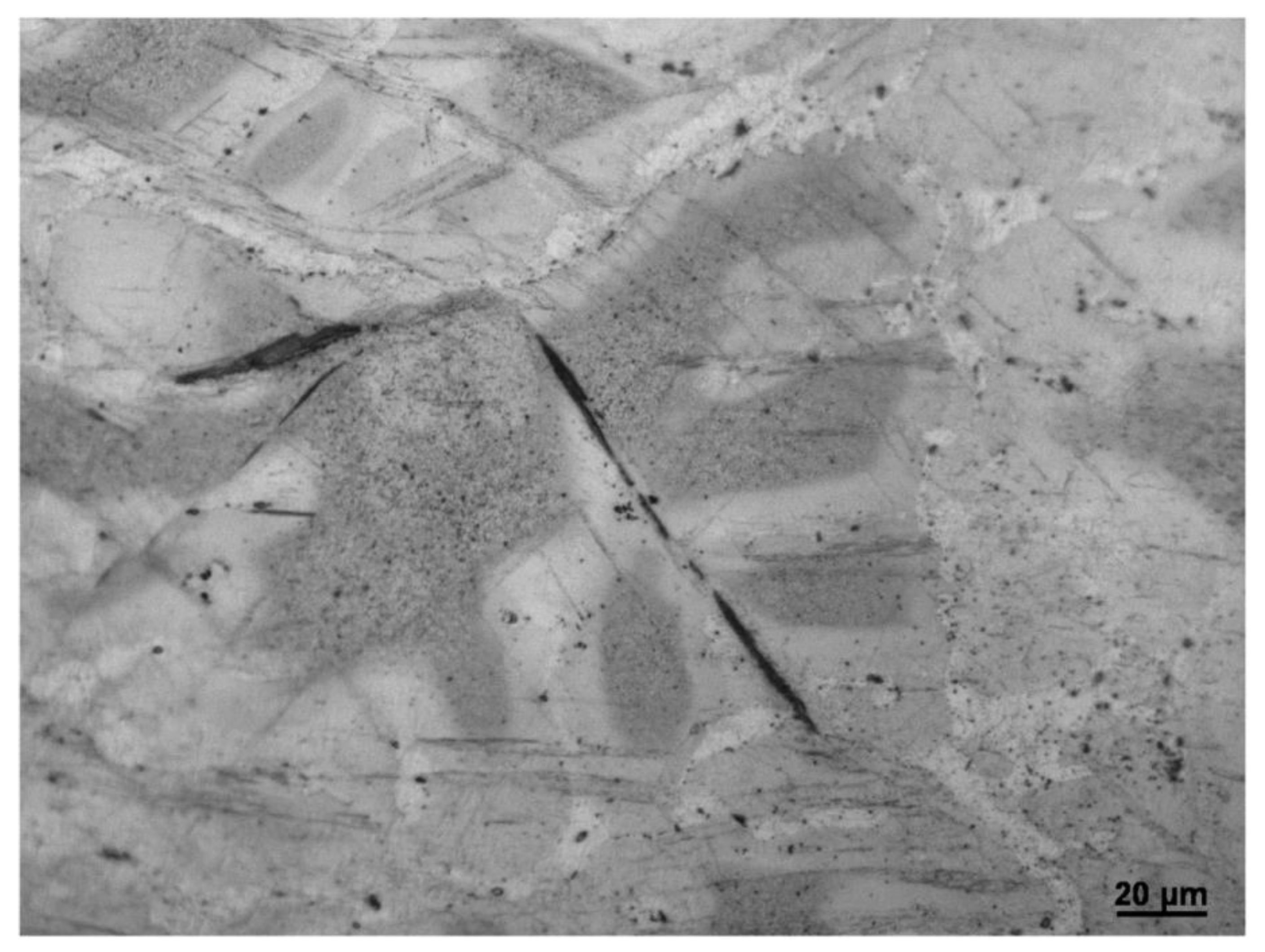 Materials 16 01163 g017 Materials 16 01163 g017