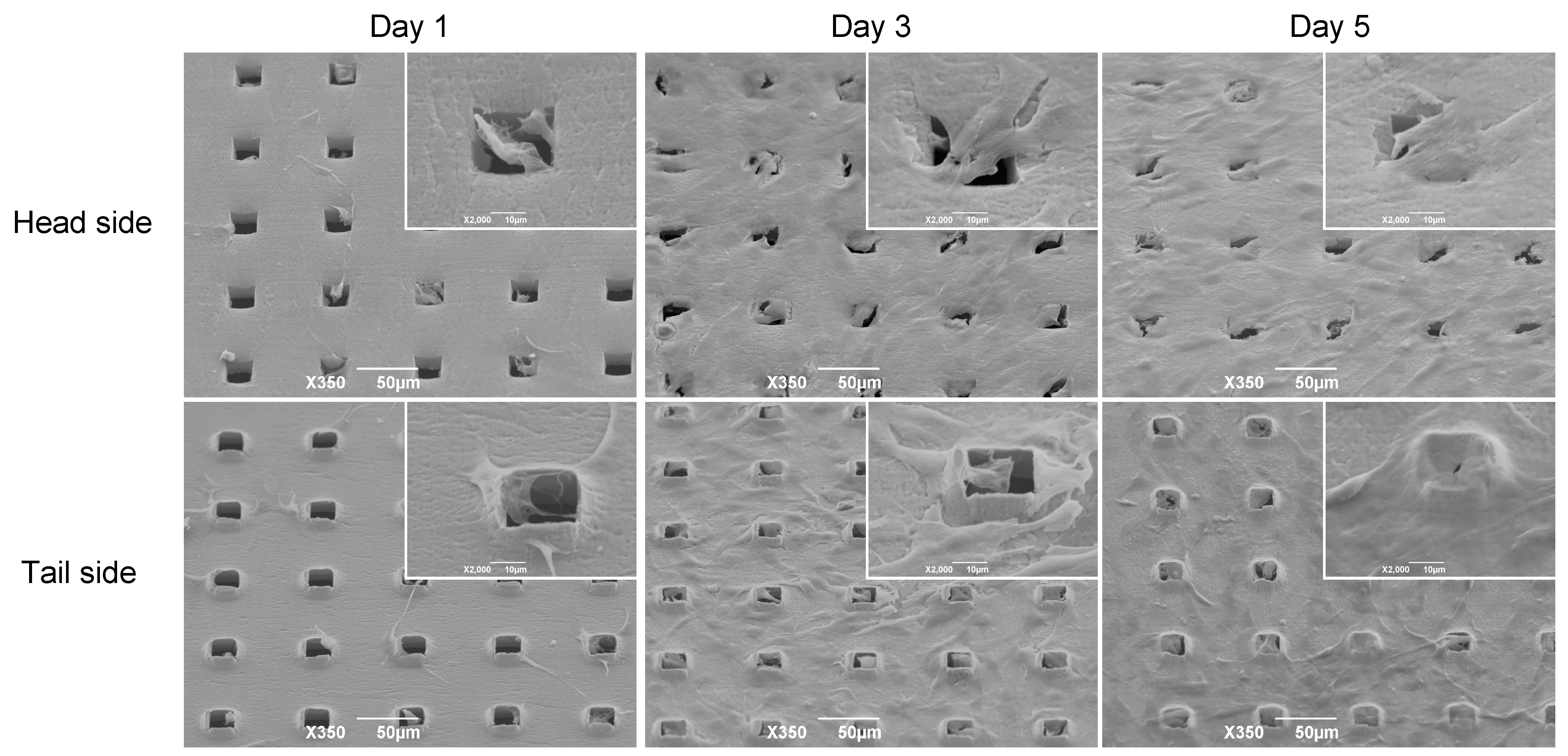 Materials 16 01165 g004 Materials 16 01165 g004