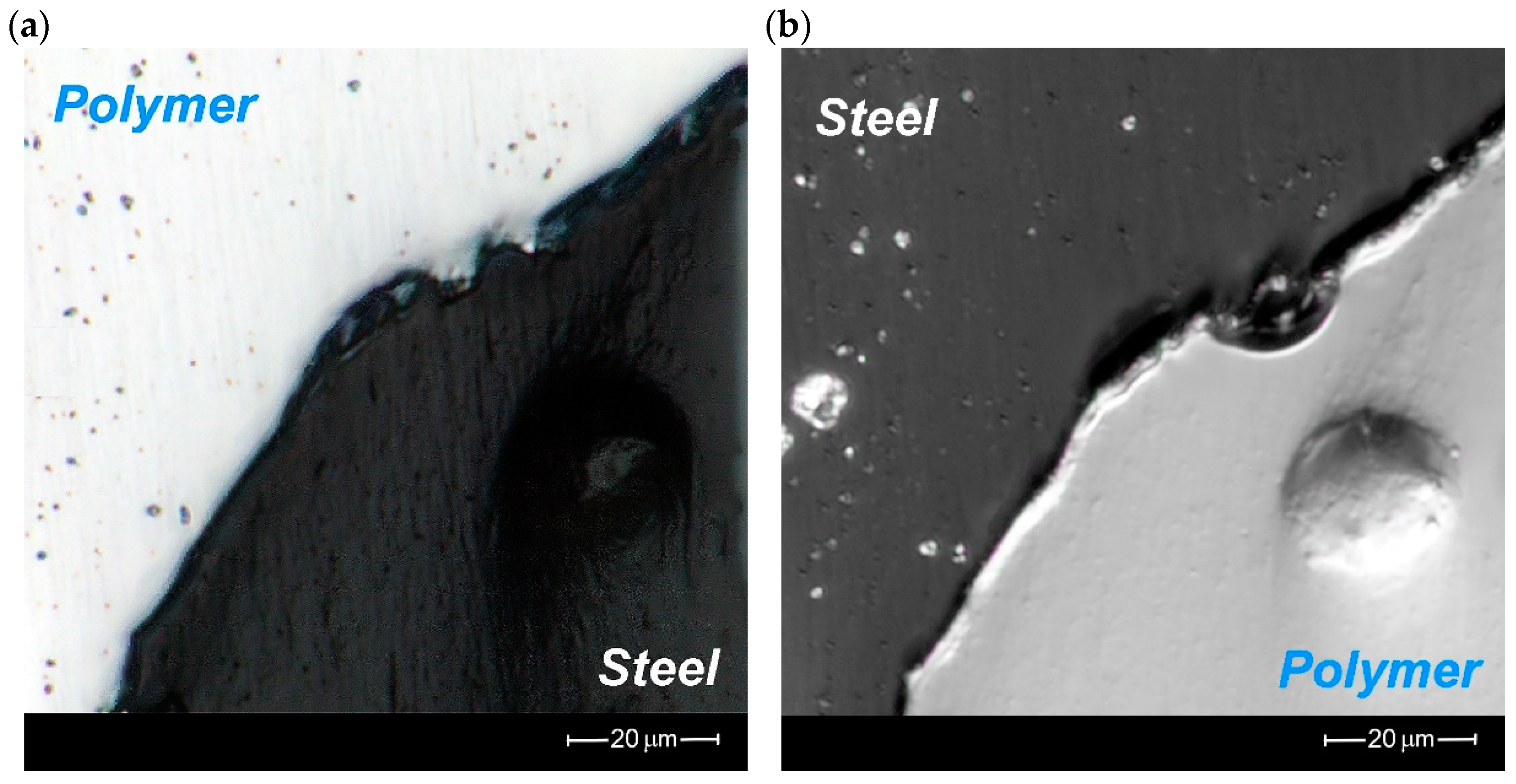 Materials 16 01170 g010