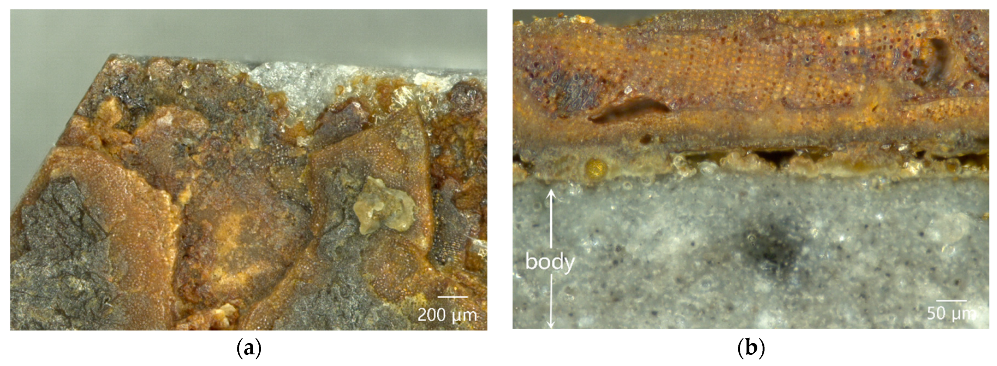 Materials 16 01176 g007