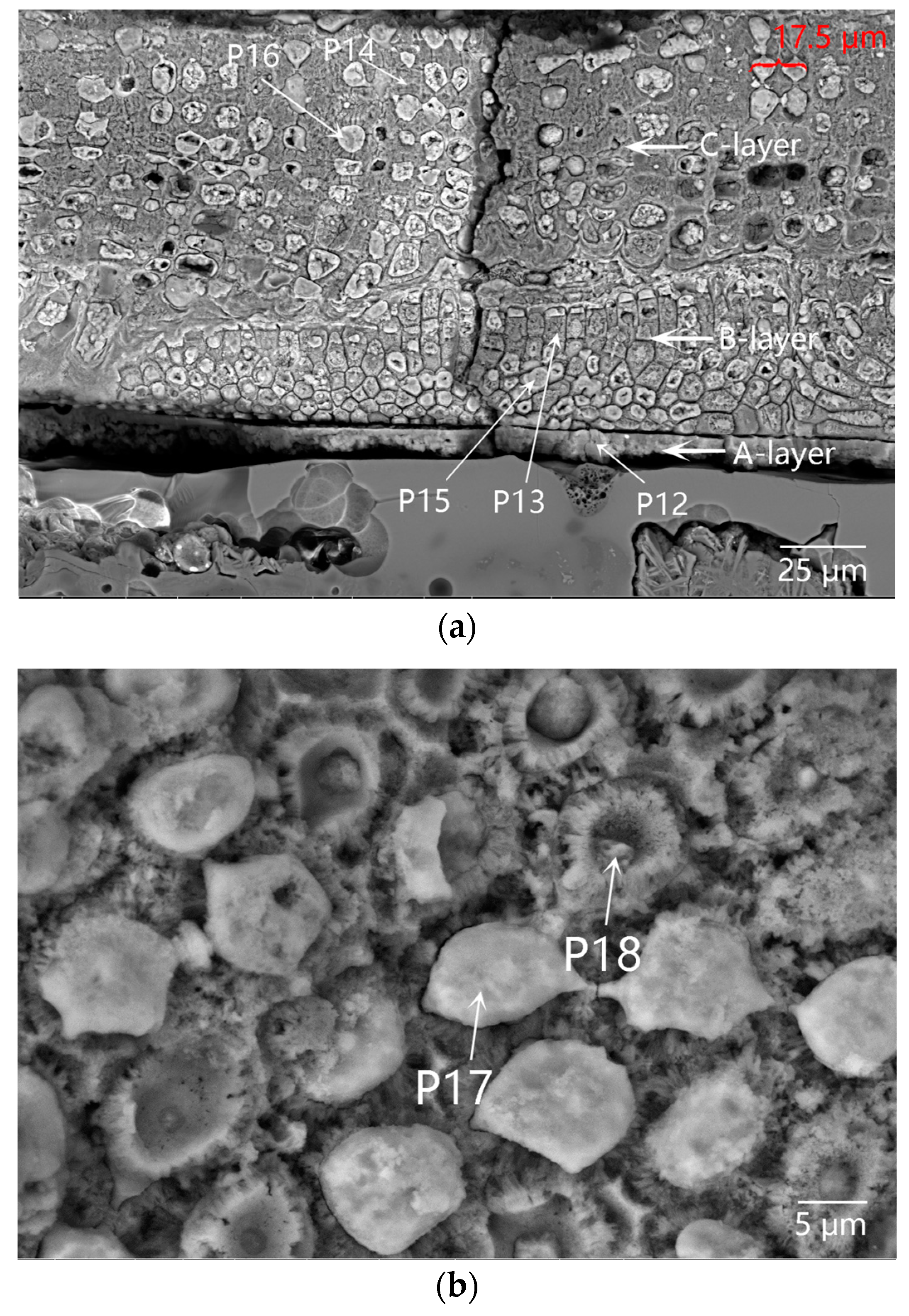 Materials 16 01176 g010