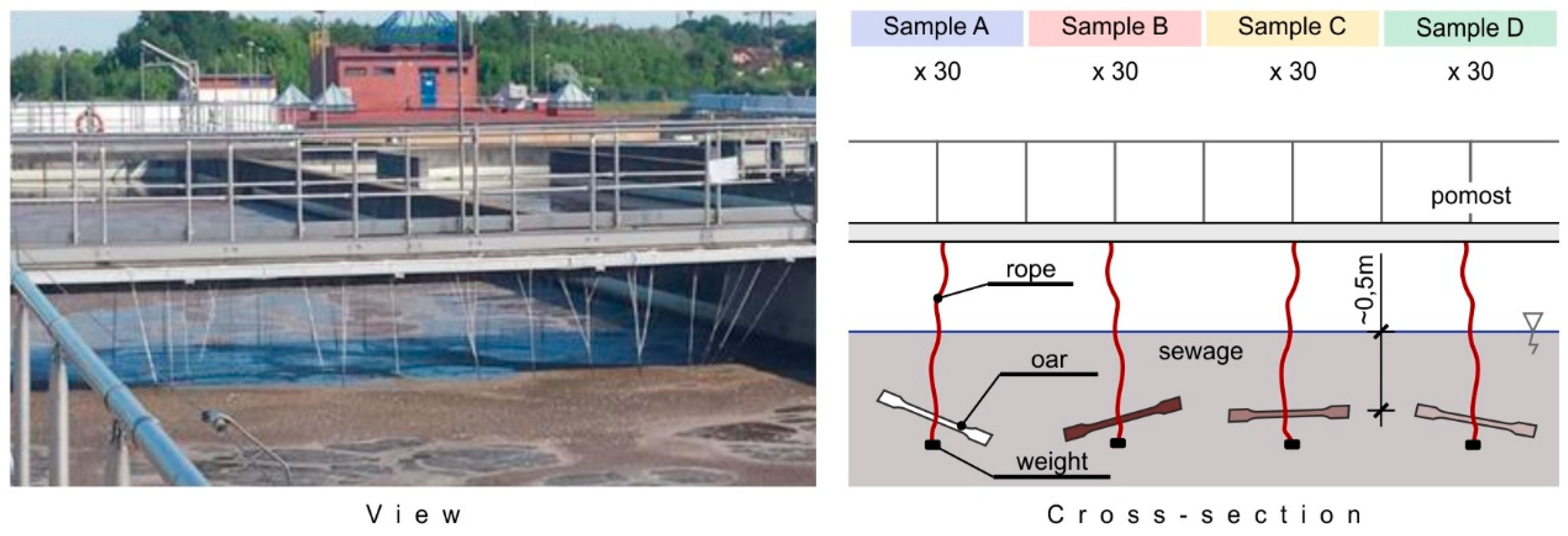 Materials 16 01181 g002 Materials 16 01181 g002