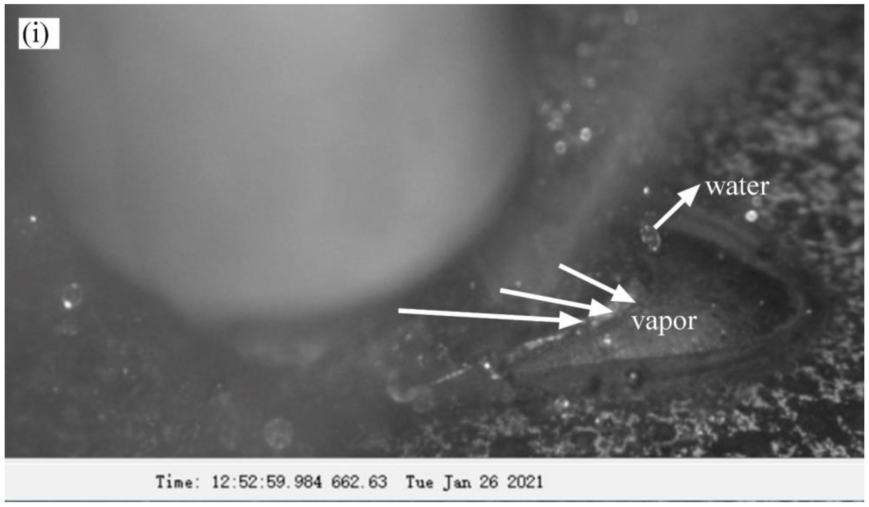 Materials 16 01184 g007b Materials 16 01184 g007b