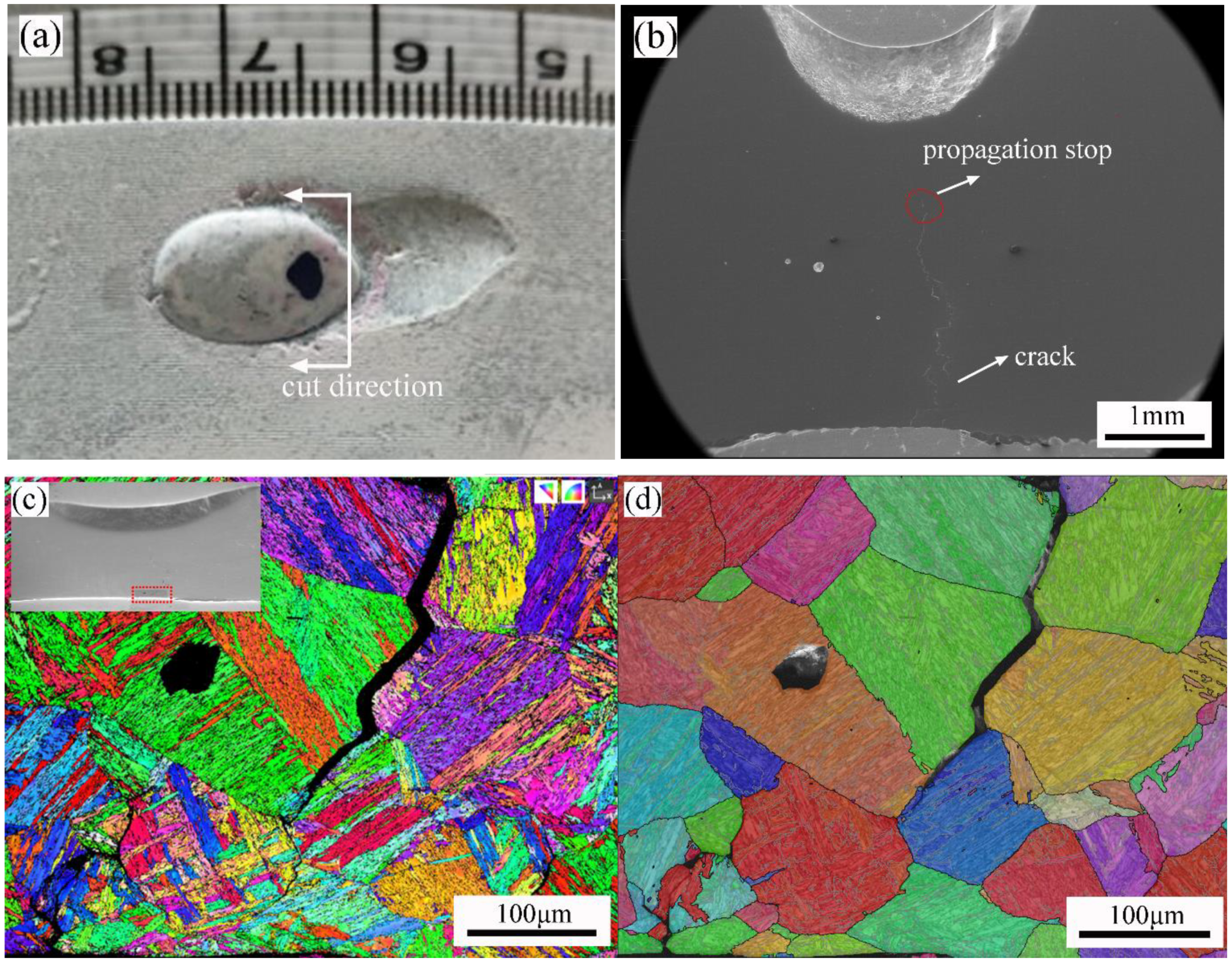 Materials 16 01184 g016 Materials 16 01184 g016