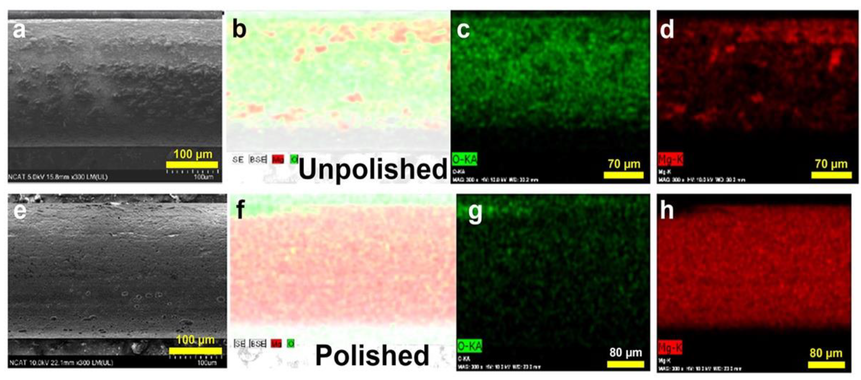 Materials 16 01195 g001