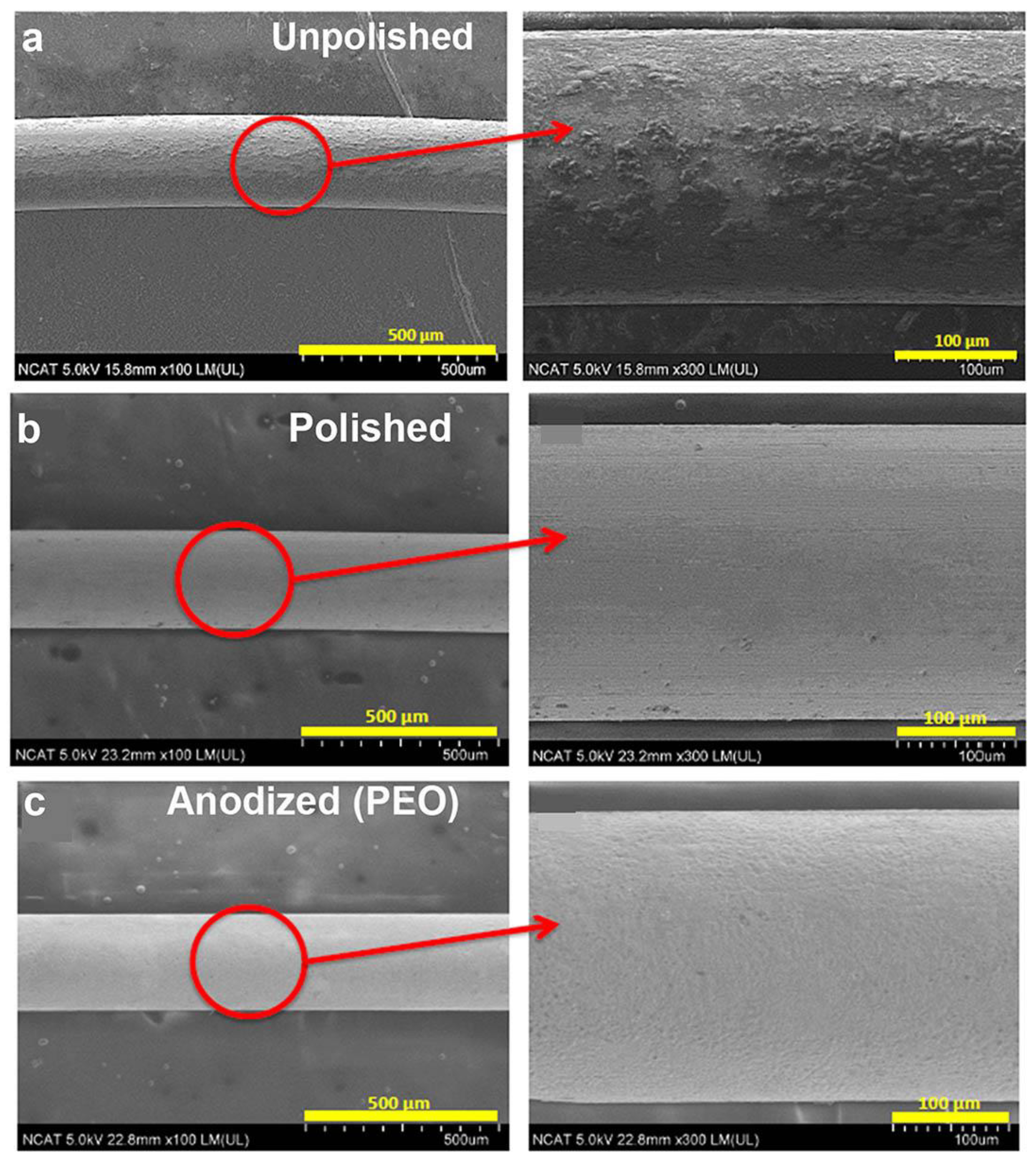 Materials 16 01195 g002