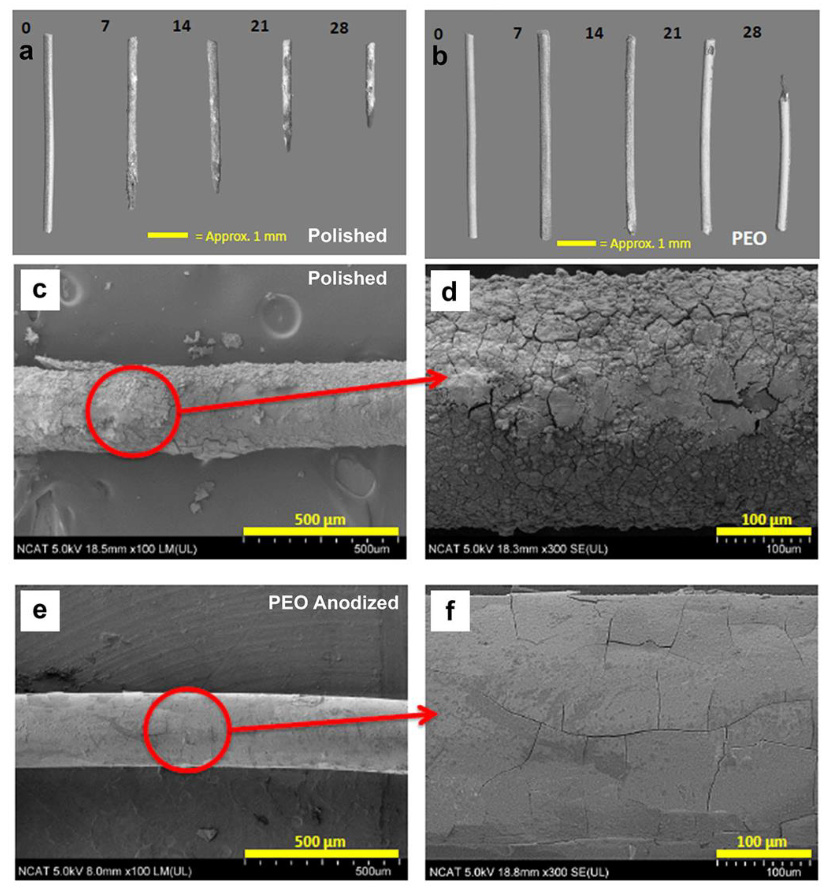 Materials 16 01195 g003