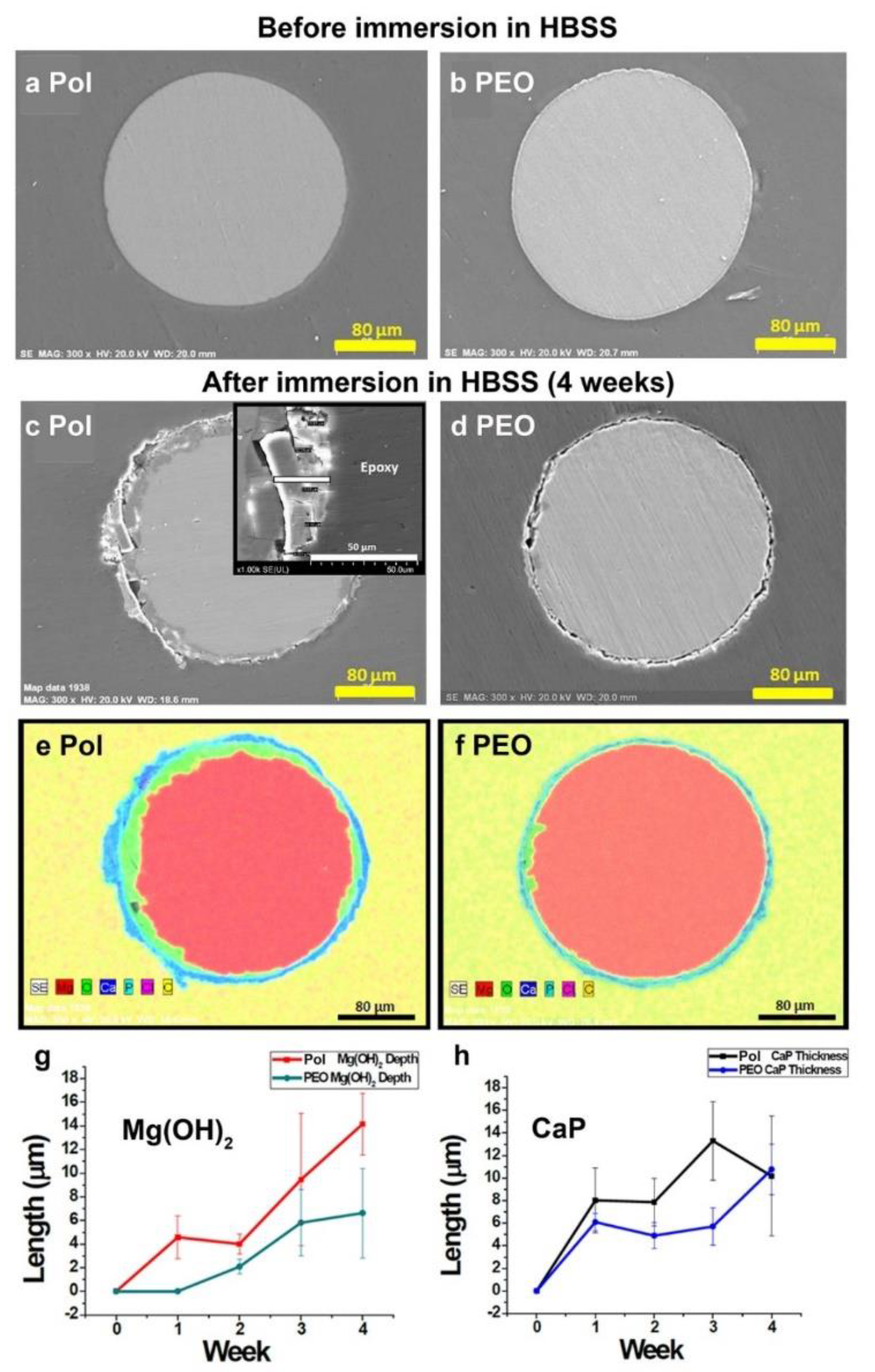 Materials 16 01195 g004