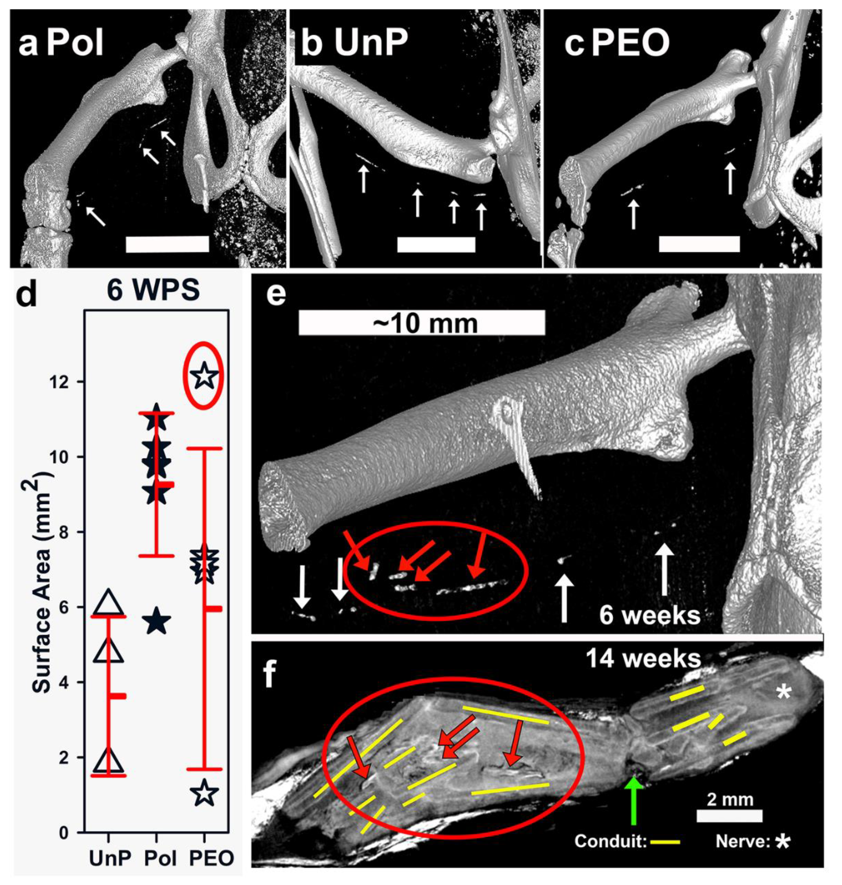 Materials 16 01195 g006