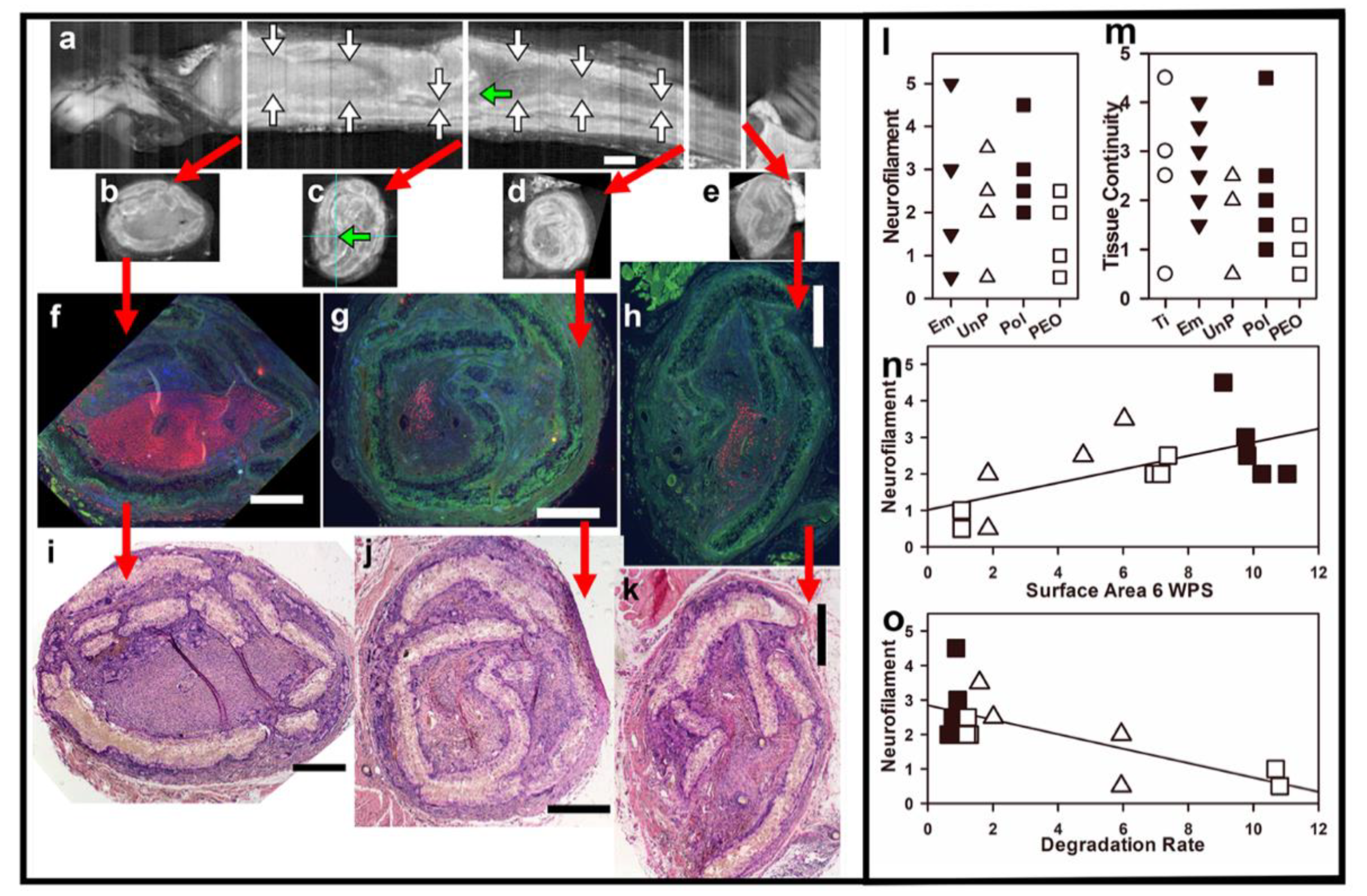 Materials 16 01195 g008