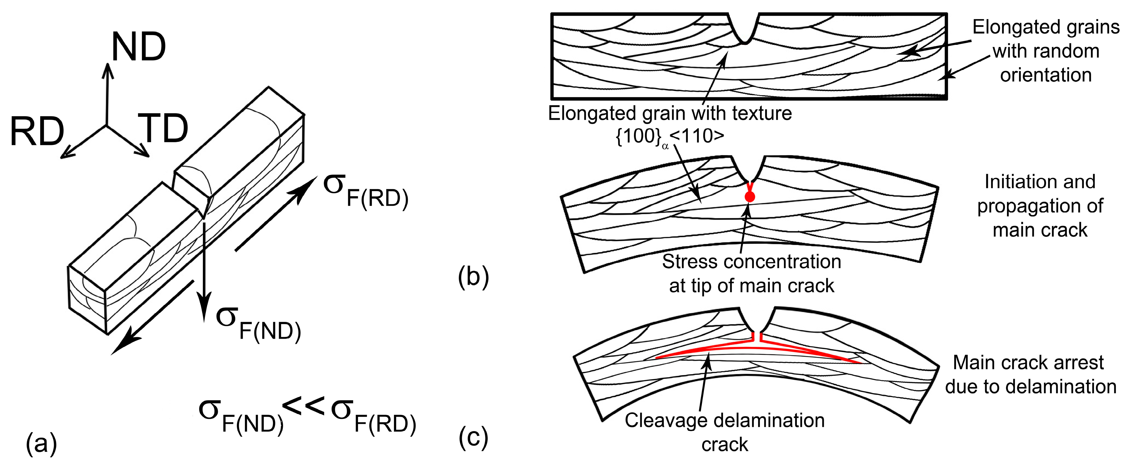 Materials 16 01202 g010