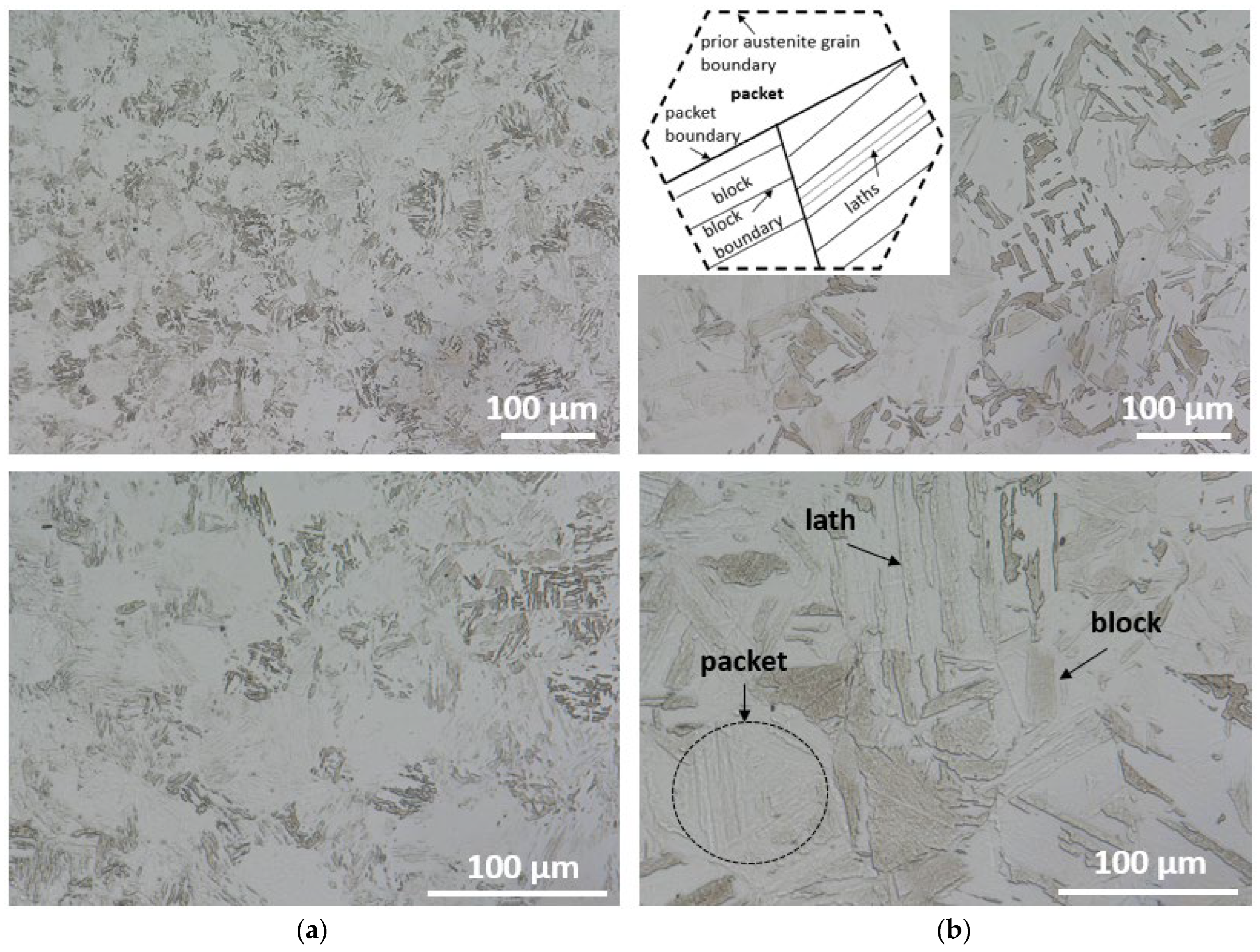 Materials 16 01206 g006 Materials 16 01206 g006