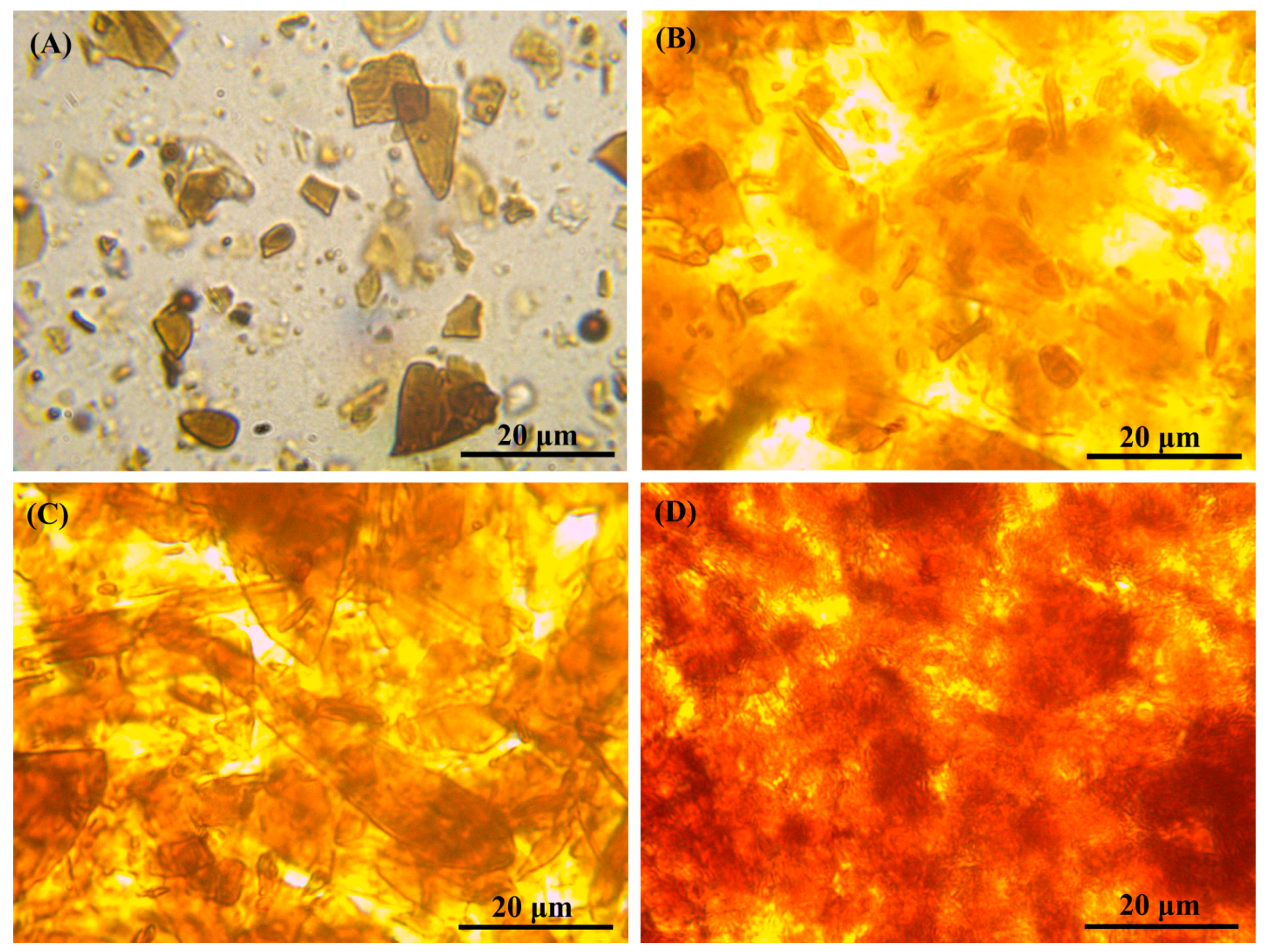 Materials 16 01209 g011