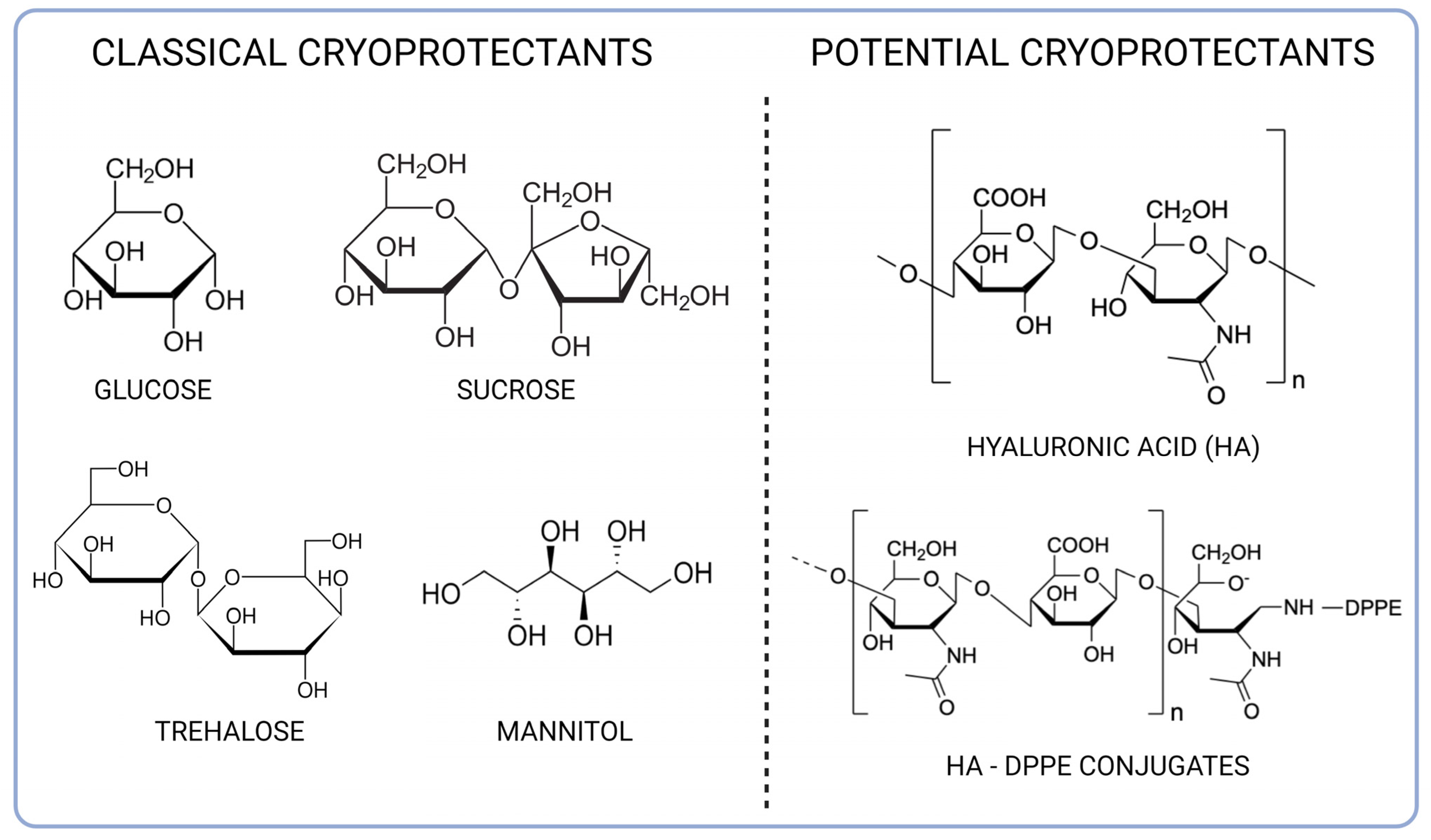 Materials 16 01212 g002