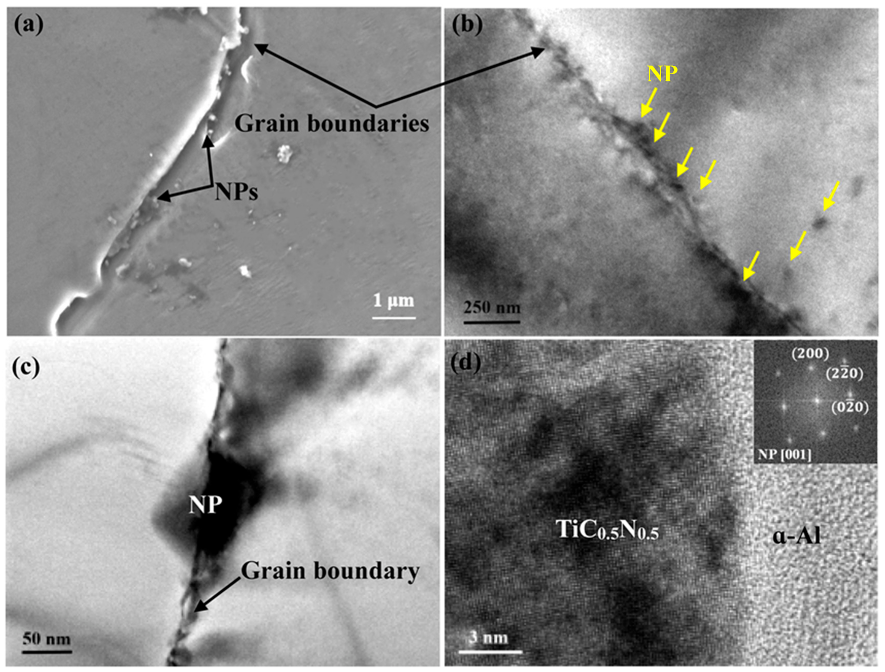 Materials 16 01214 g004