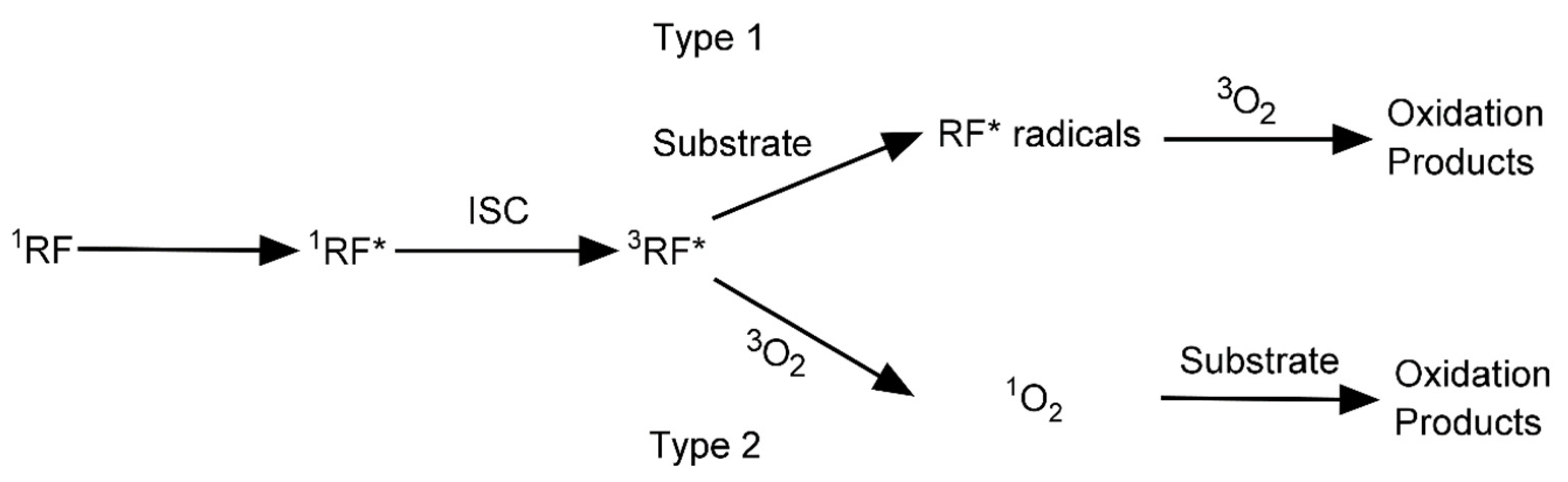 Materials 16 01218 g003