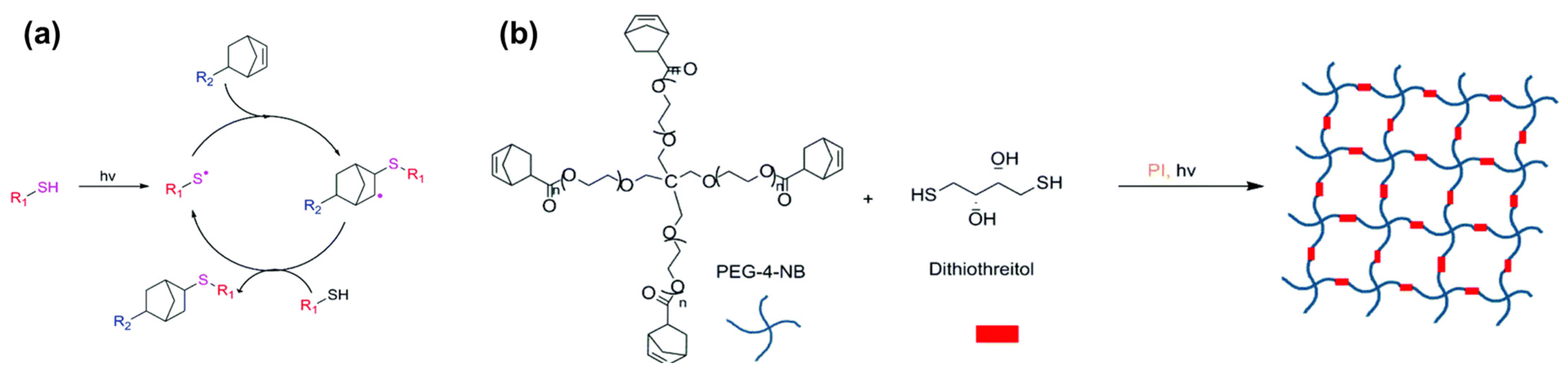 Materials 16 01218 g004