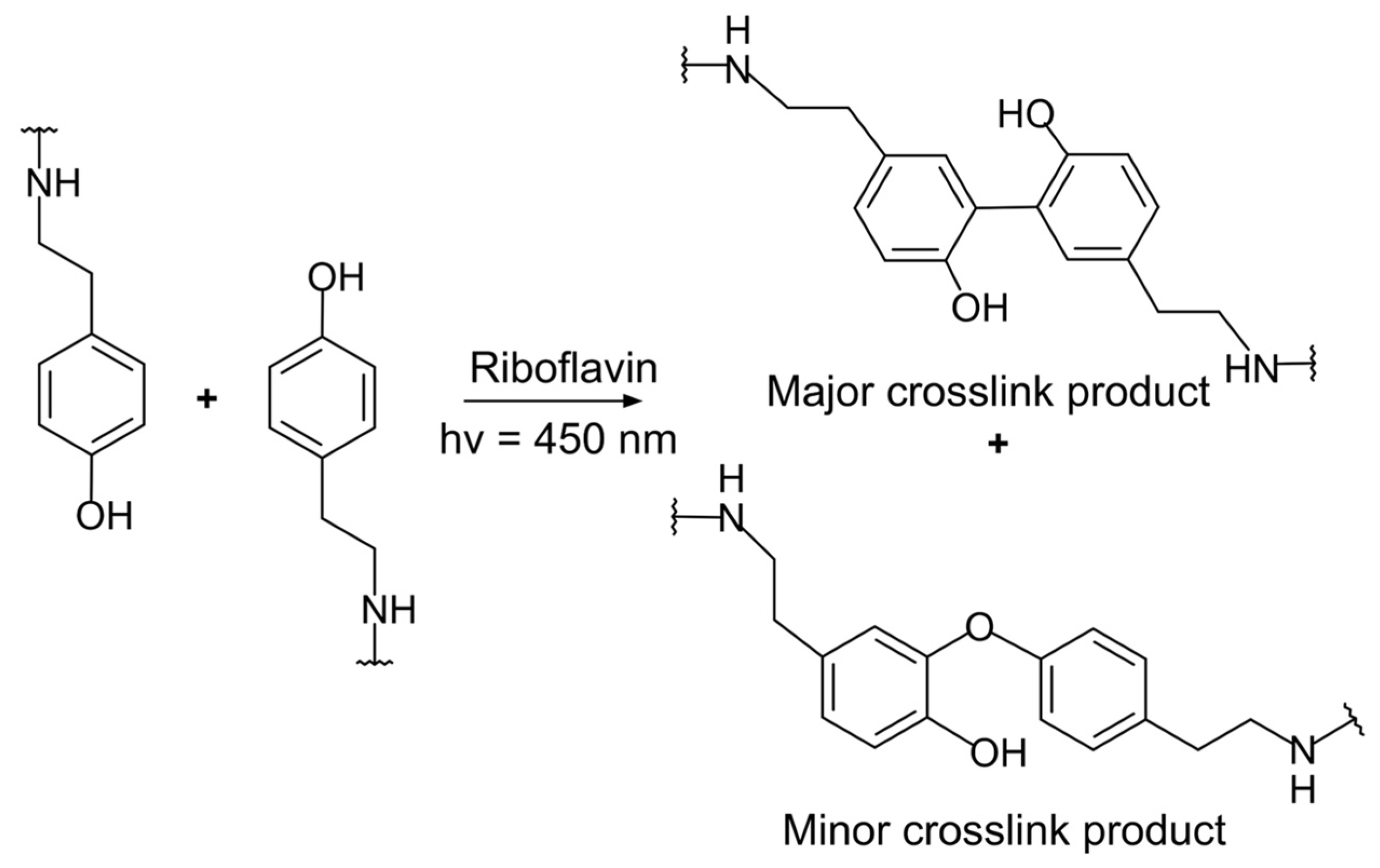 Materials 16 01218 g005