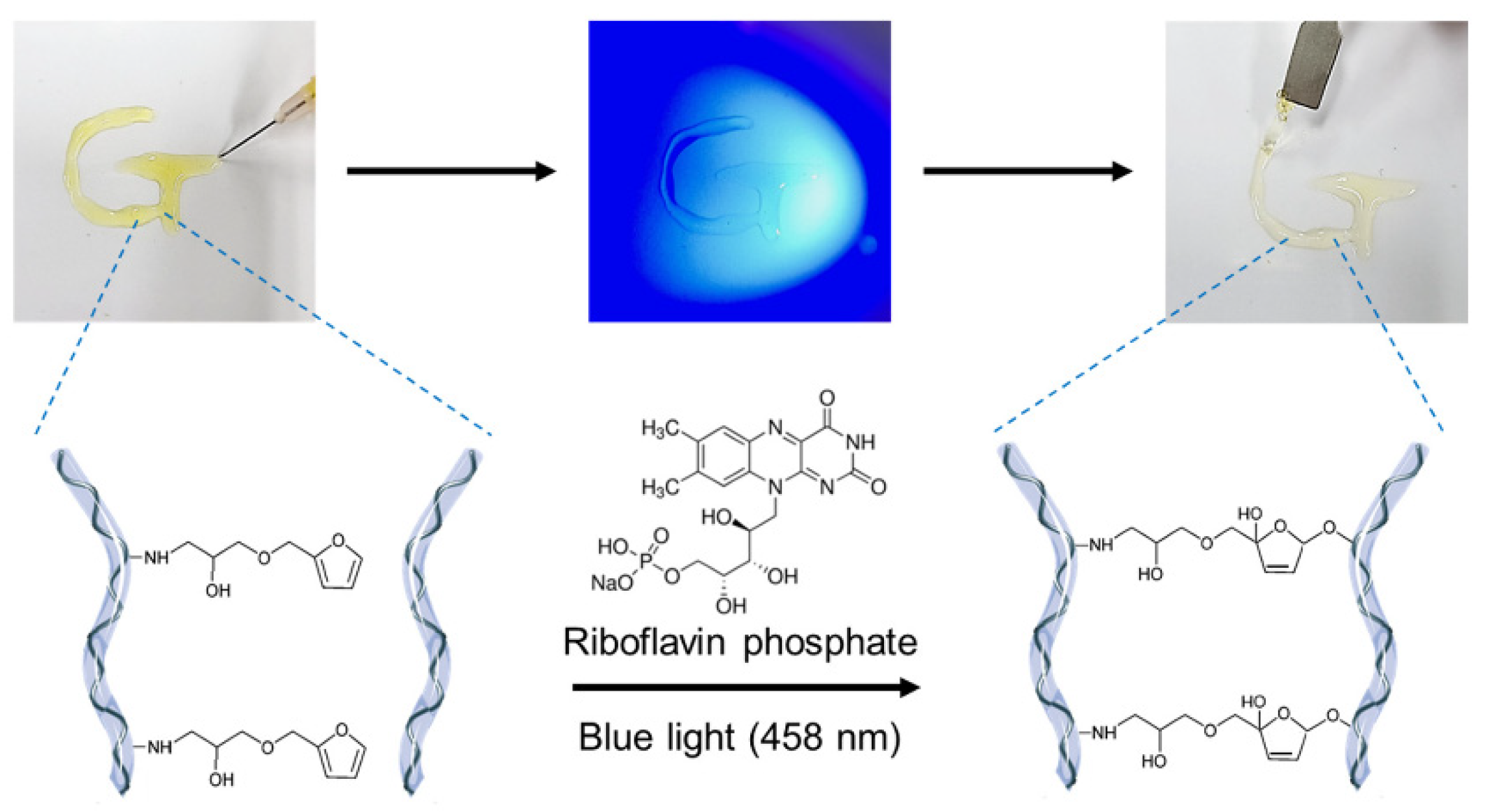 Materials 16 01218 g006