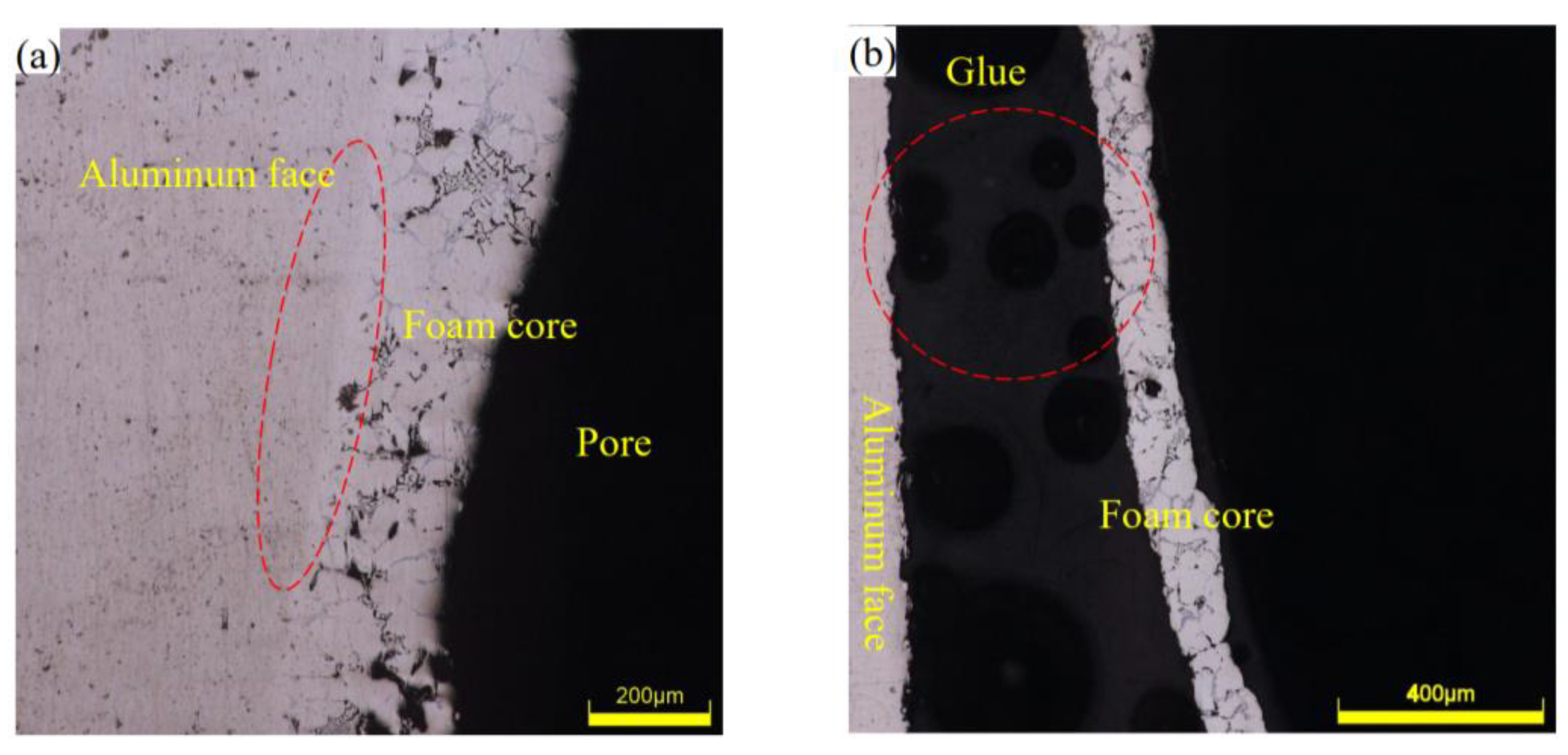 Materials 16 01226 g004 Materials 16 01226 g004
