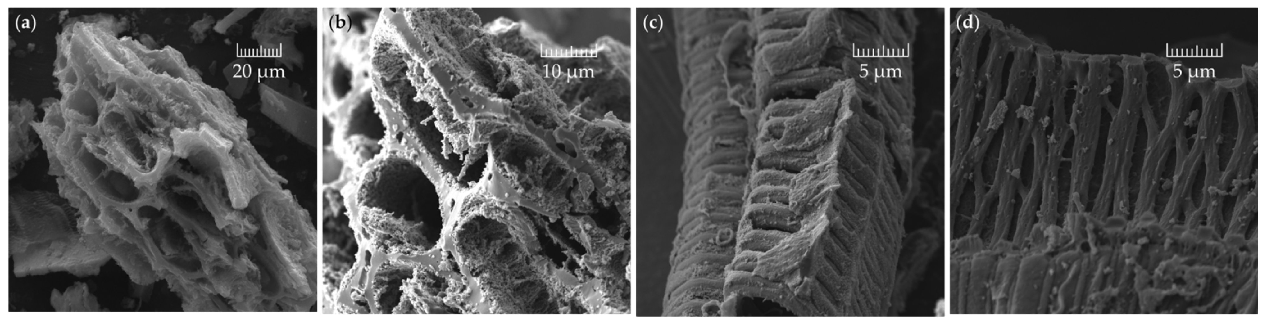 Materials 16 01232 g011