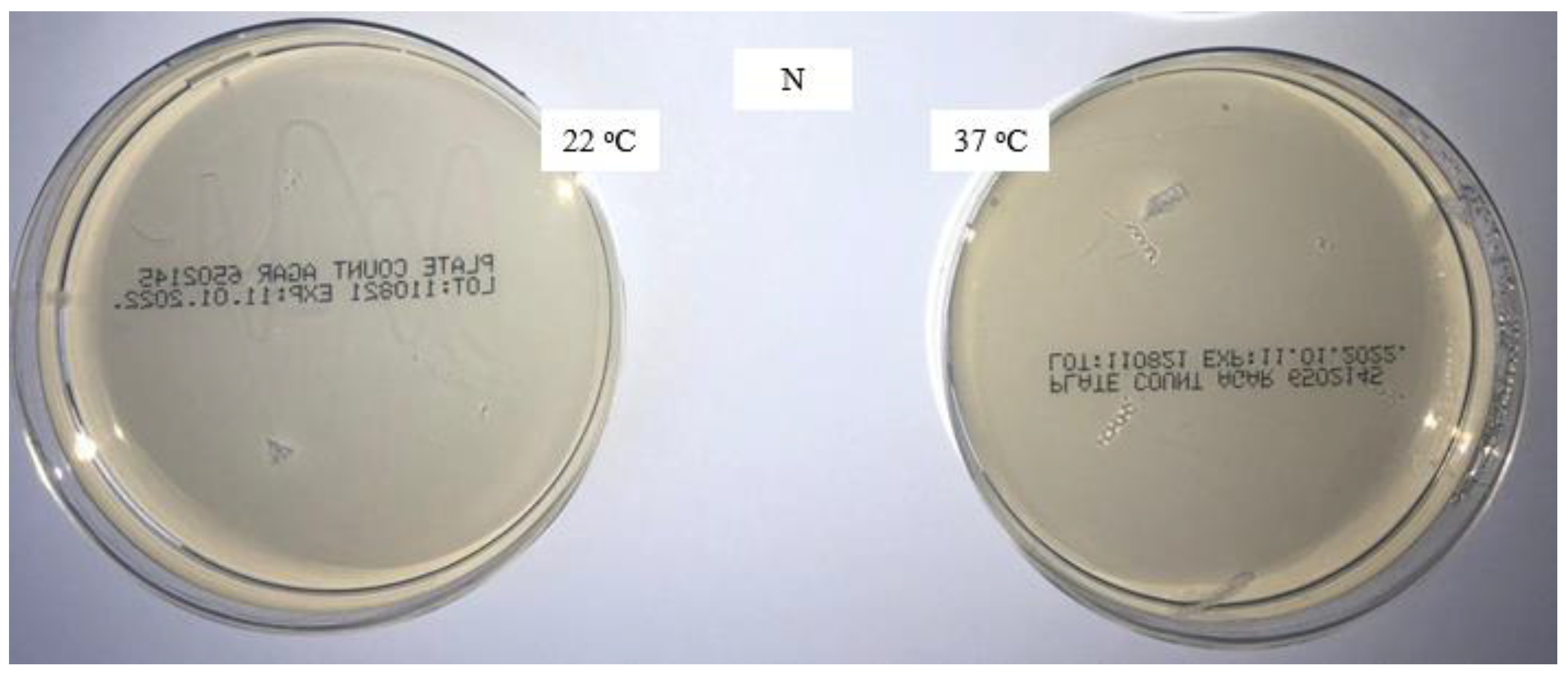 Materials 16 01247 g001