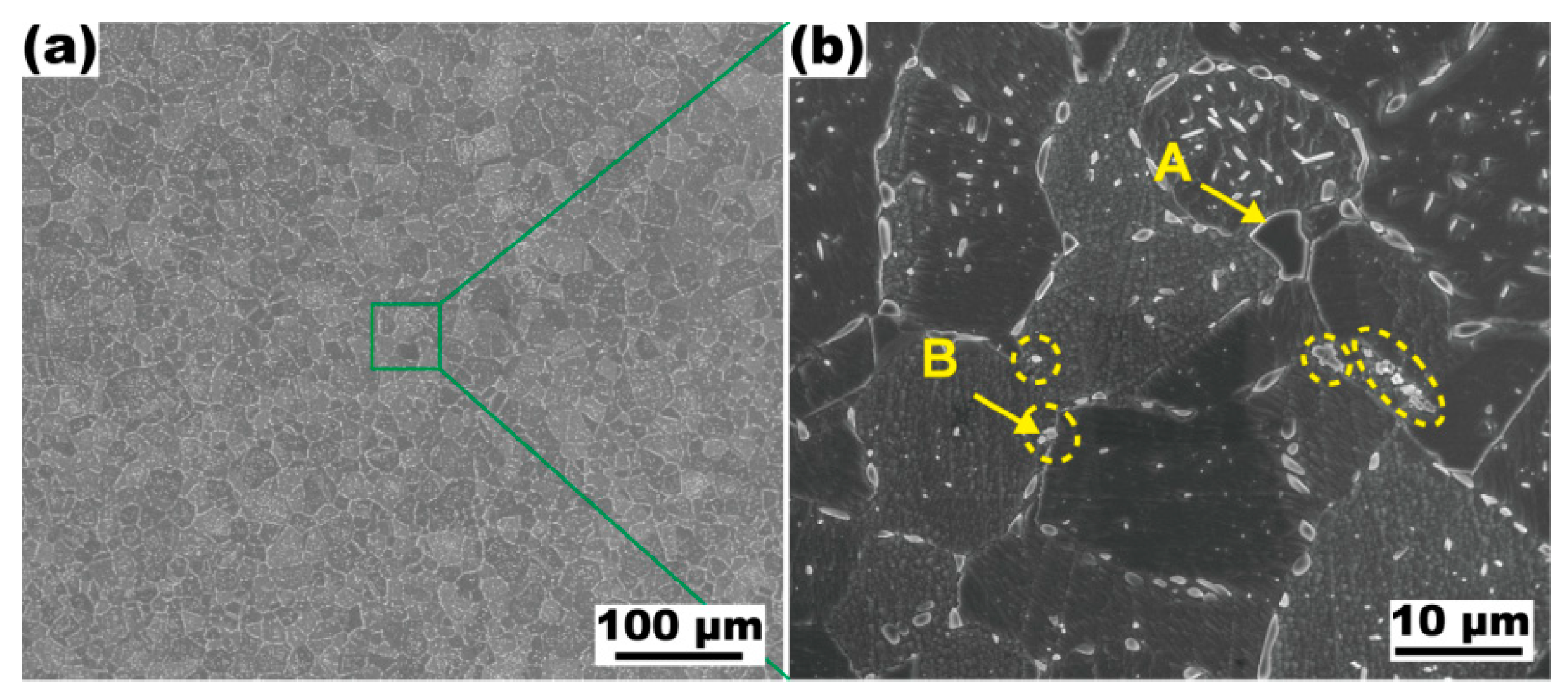 Materials 16 01252 g007 Materials 16 01252 g007