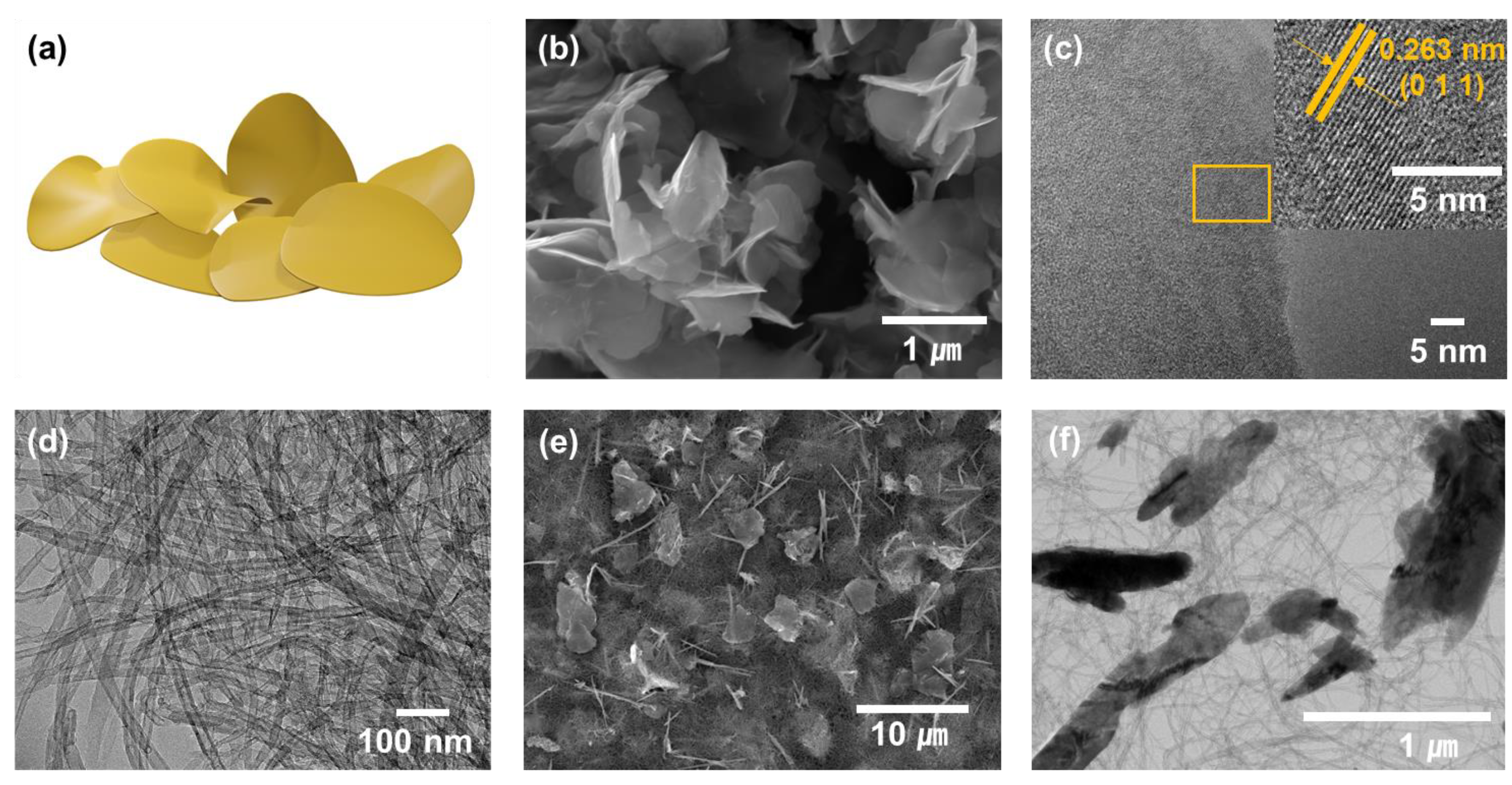 Hybrid Nano Flake-like Vanadium Diselenide Combined on Multi