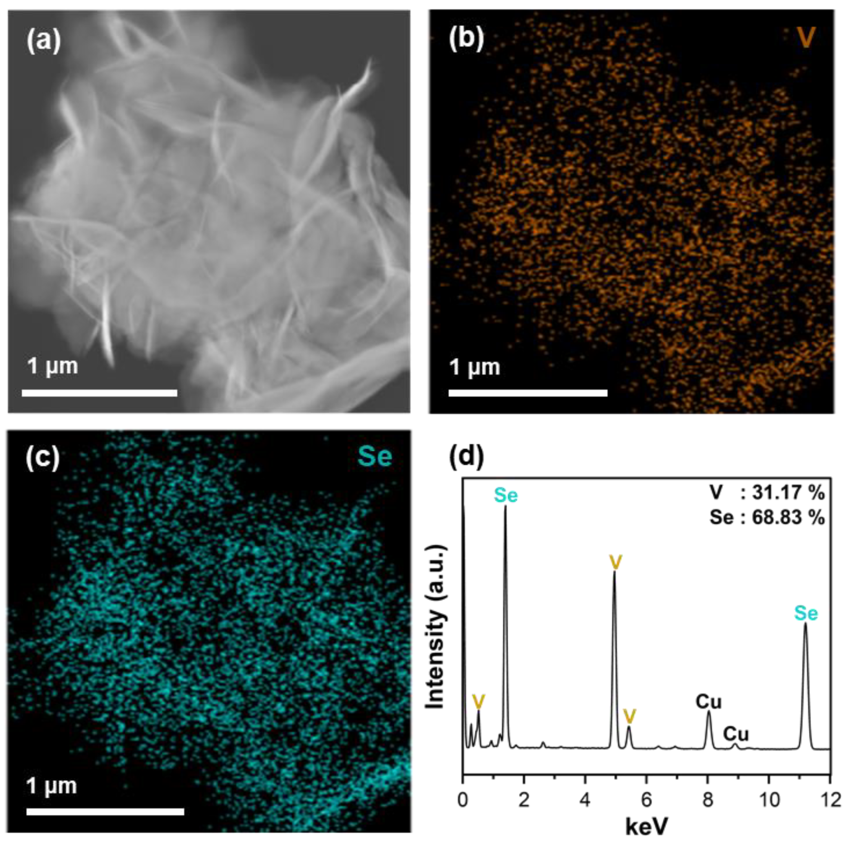 Materials 16 01253 g002