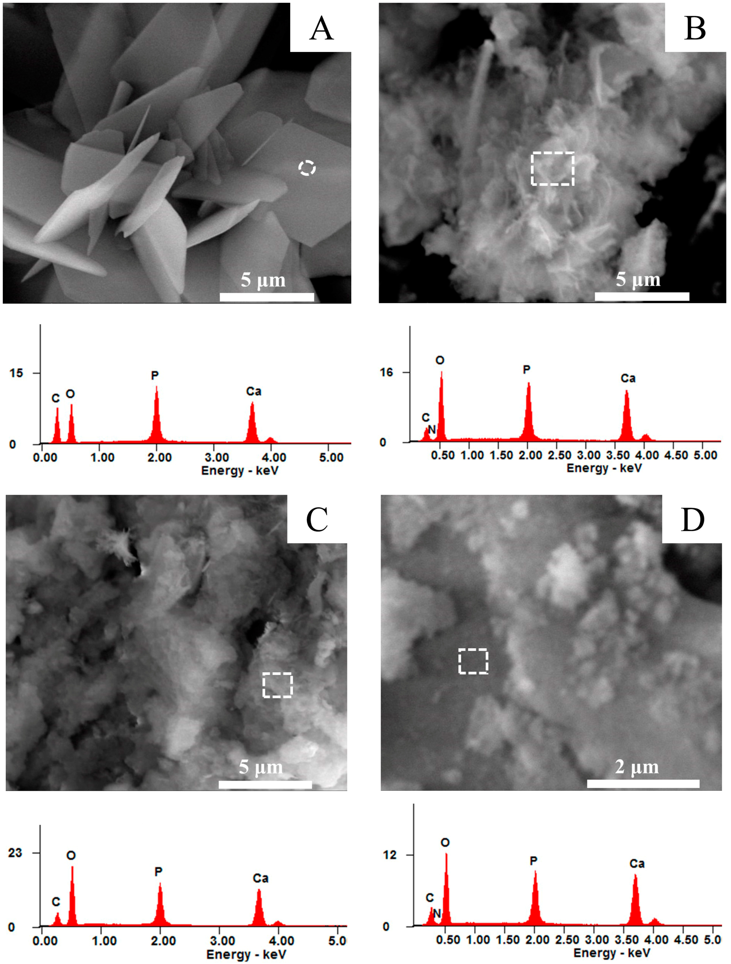 Materials 16 01262 g003a Materials 16 01262 g003a