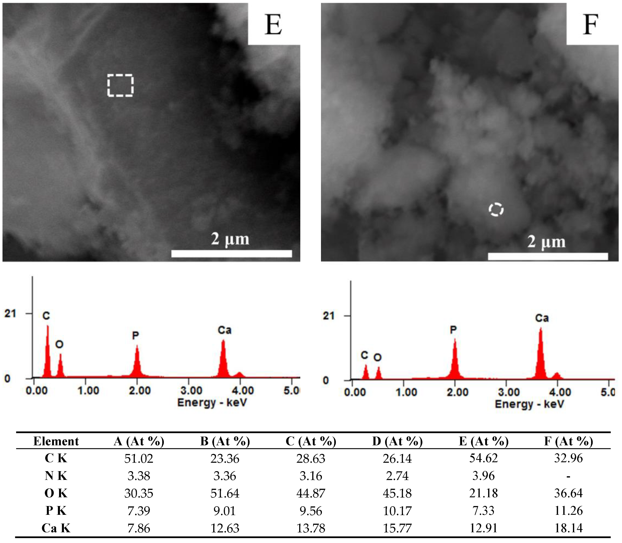 Materials 16 01262 g003b Materials 16 01262 g003b