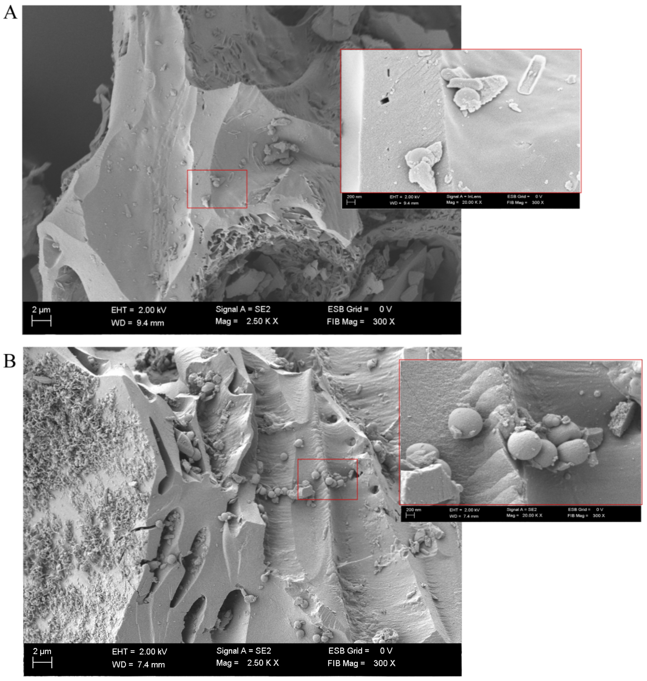 Materials 16 01263 g004 Materials 16 01263 g004