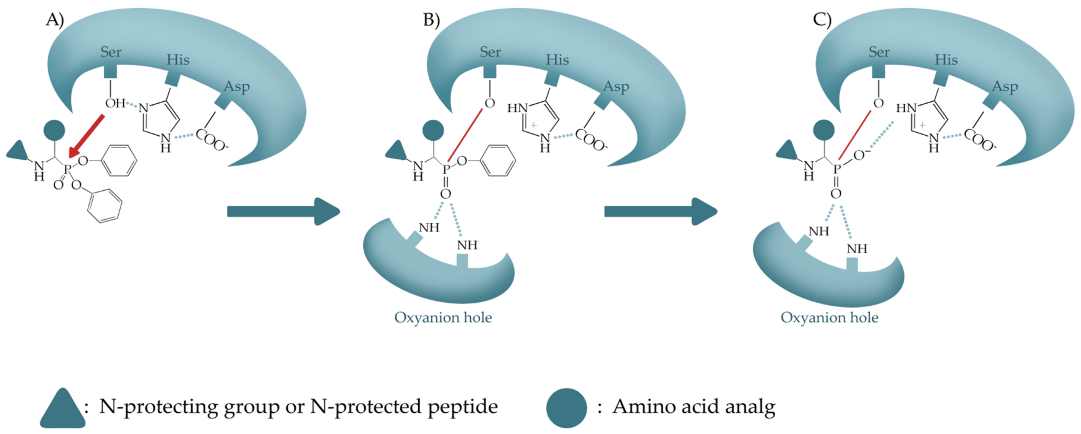 Materials 16 01263 sch001 Materials 16 01263 sch001