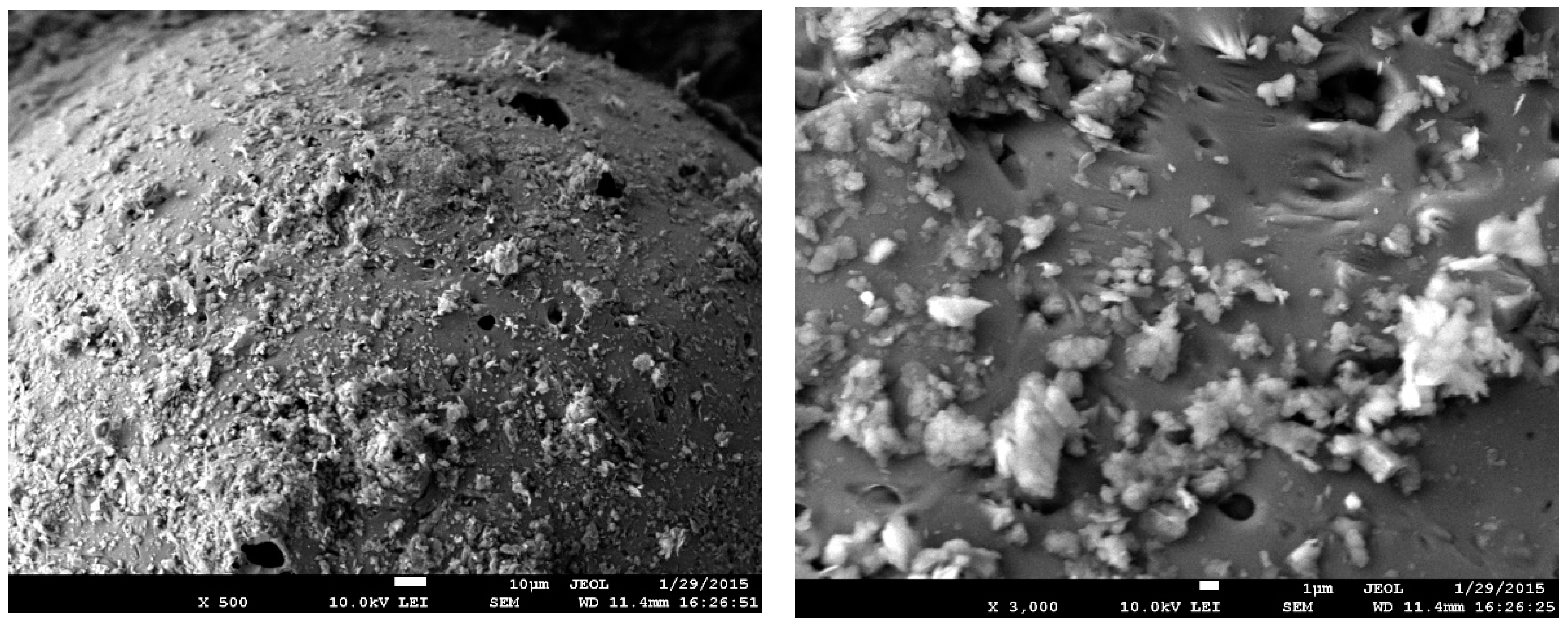 Materials 16 01269 g003