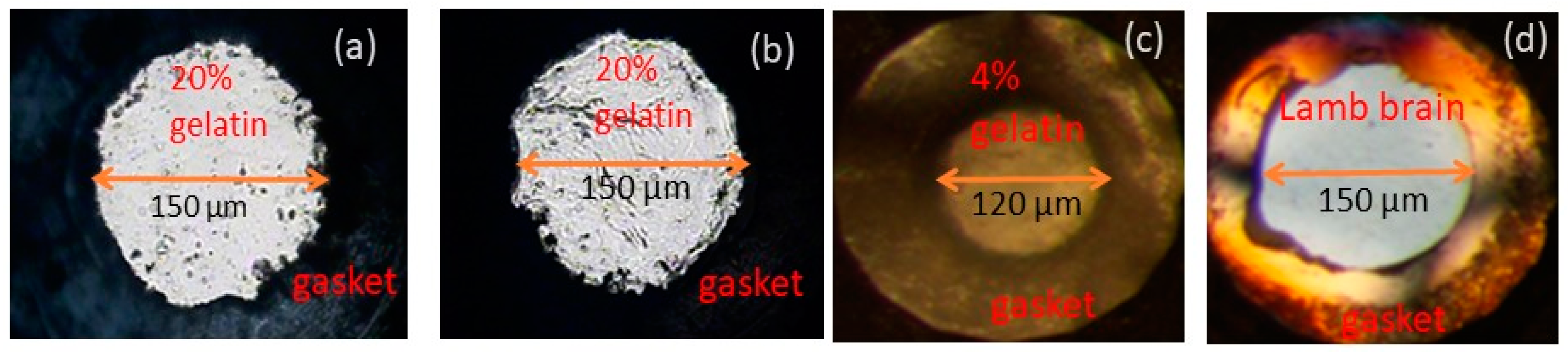 Materials 16 01279 g002
