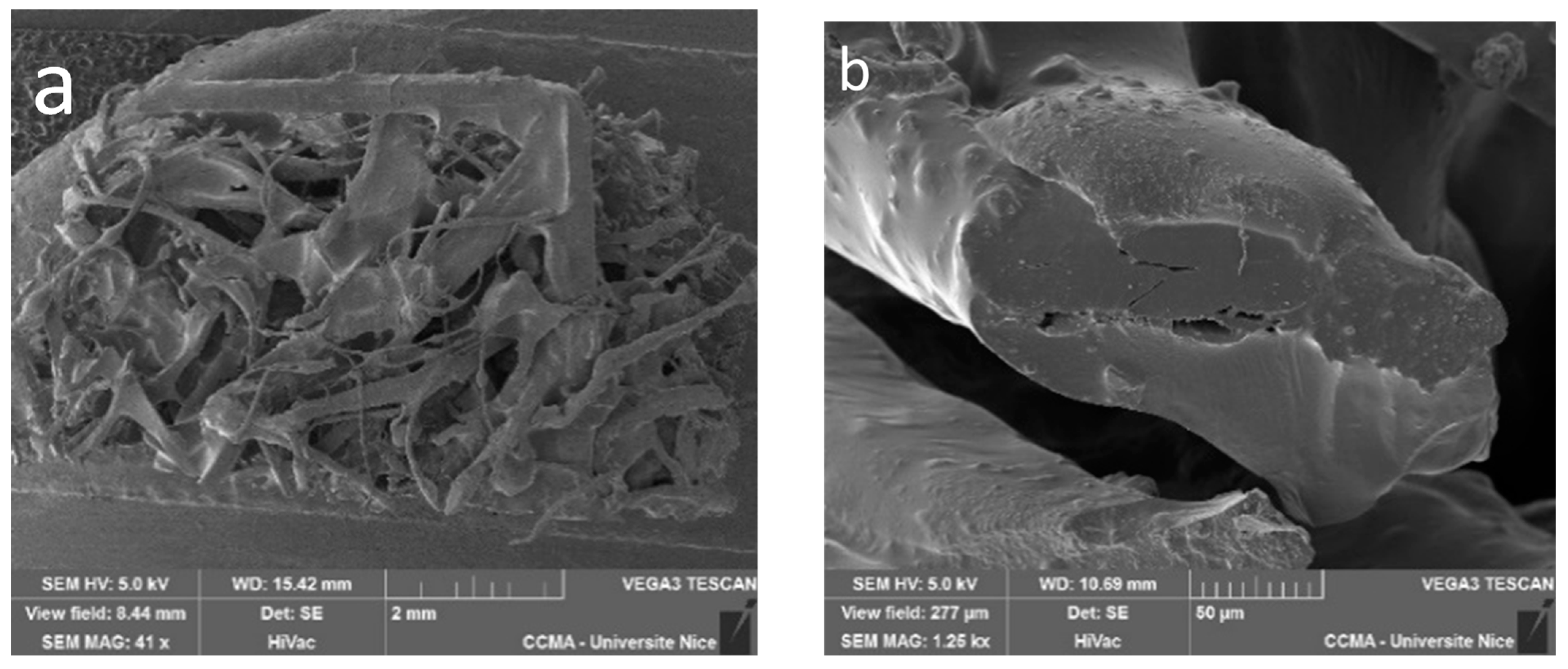 Materials 16 01283 g003a Materials 16 01283 g003a