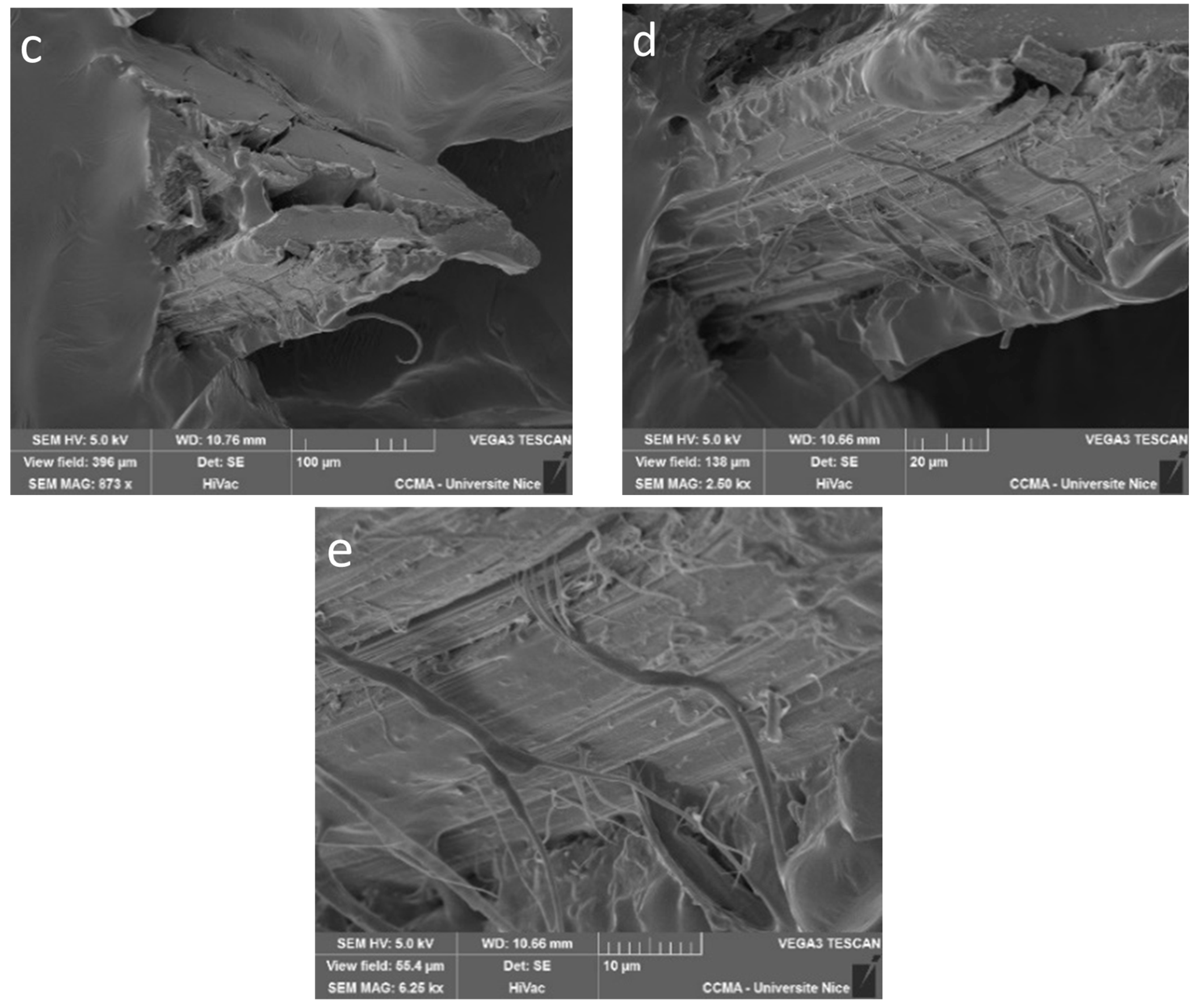 Materials 16 01283 g003b Materials 16 01283 g003b